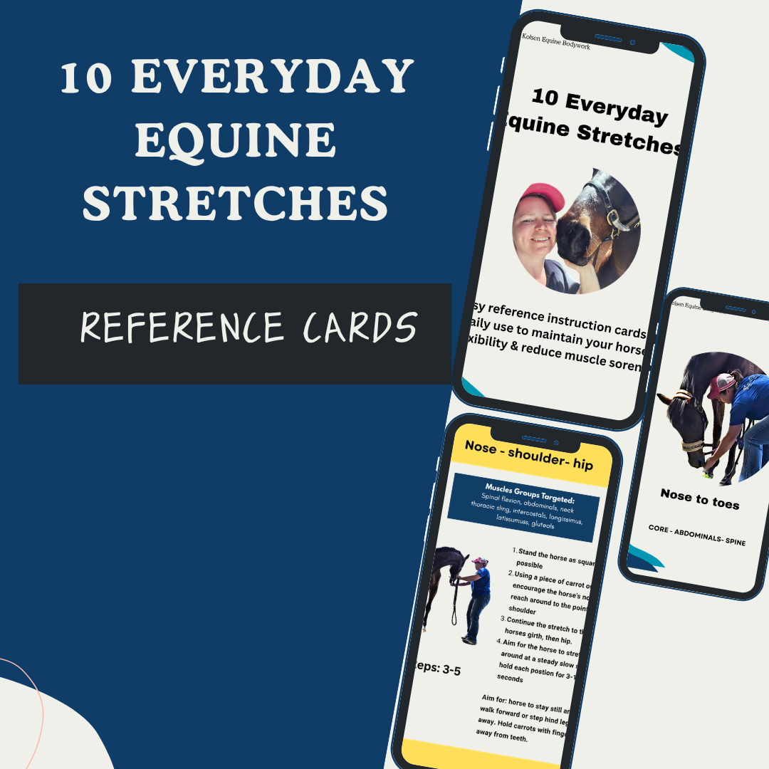 Everyday Equine Stretches - Printed set