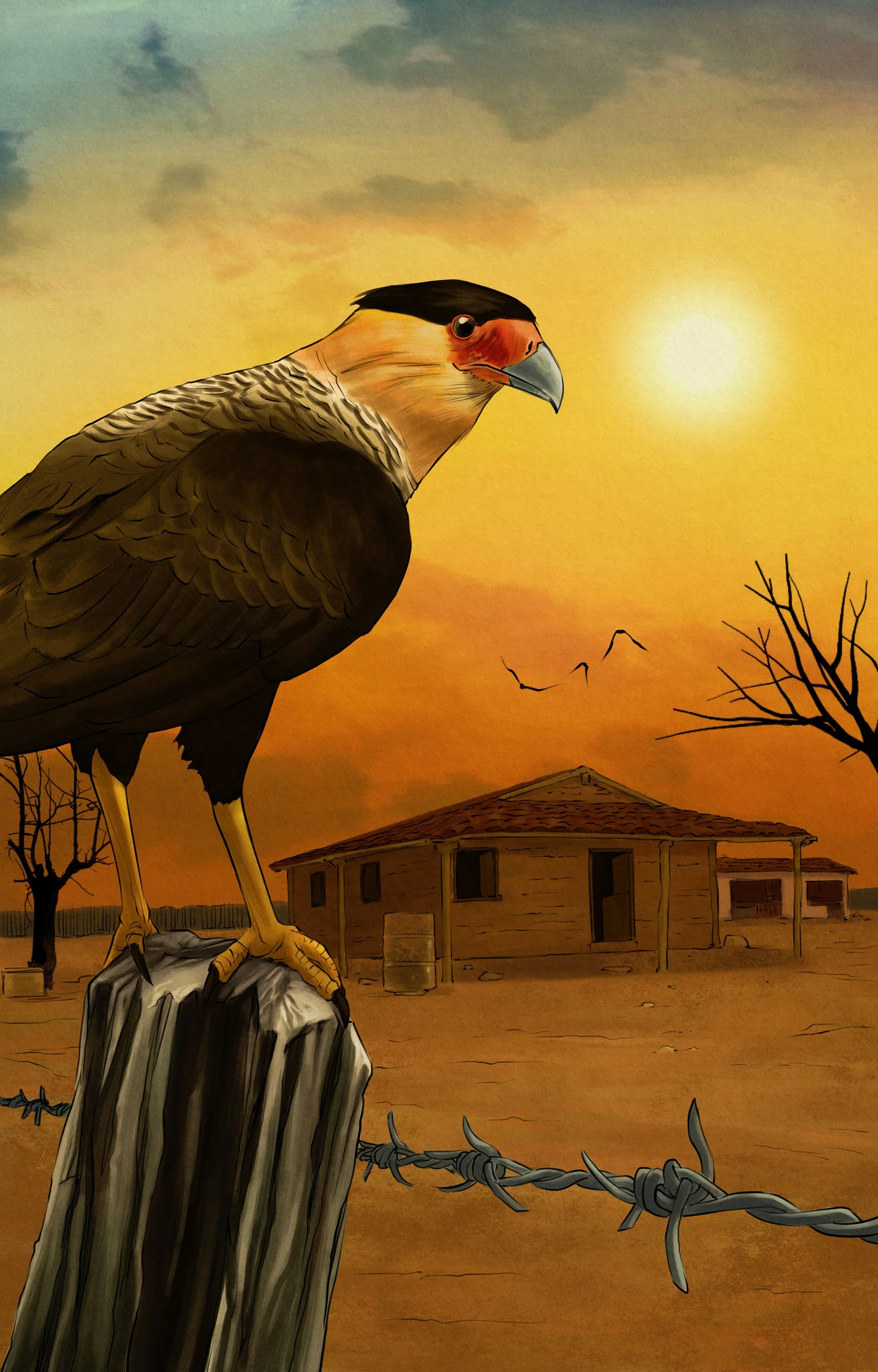 almanaque-COVER.jpg