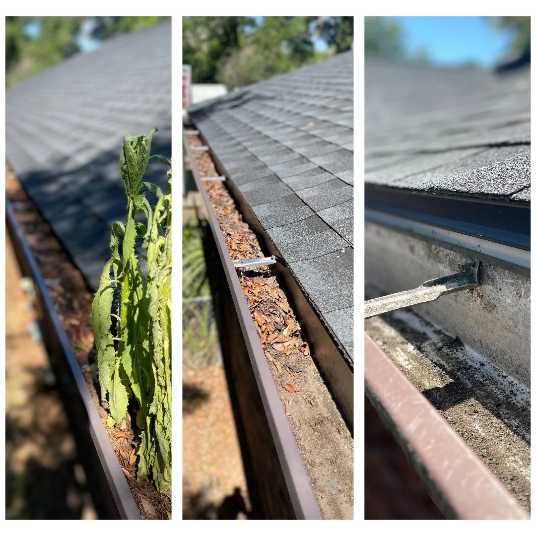 A triptych of photos showing the different parts of a house roof, including a close-up of a plant growing in the gutters, the roof shingles with leaves and debris in the gutters, and the underside of the roof with visible weathering and a support beam.