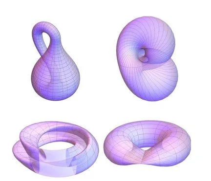 Surfaces with Klein bottle topology occur in fusion reactor fields