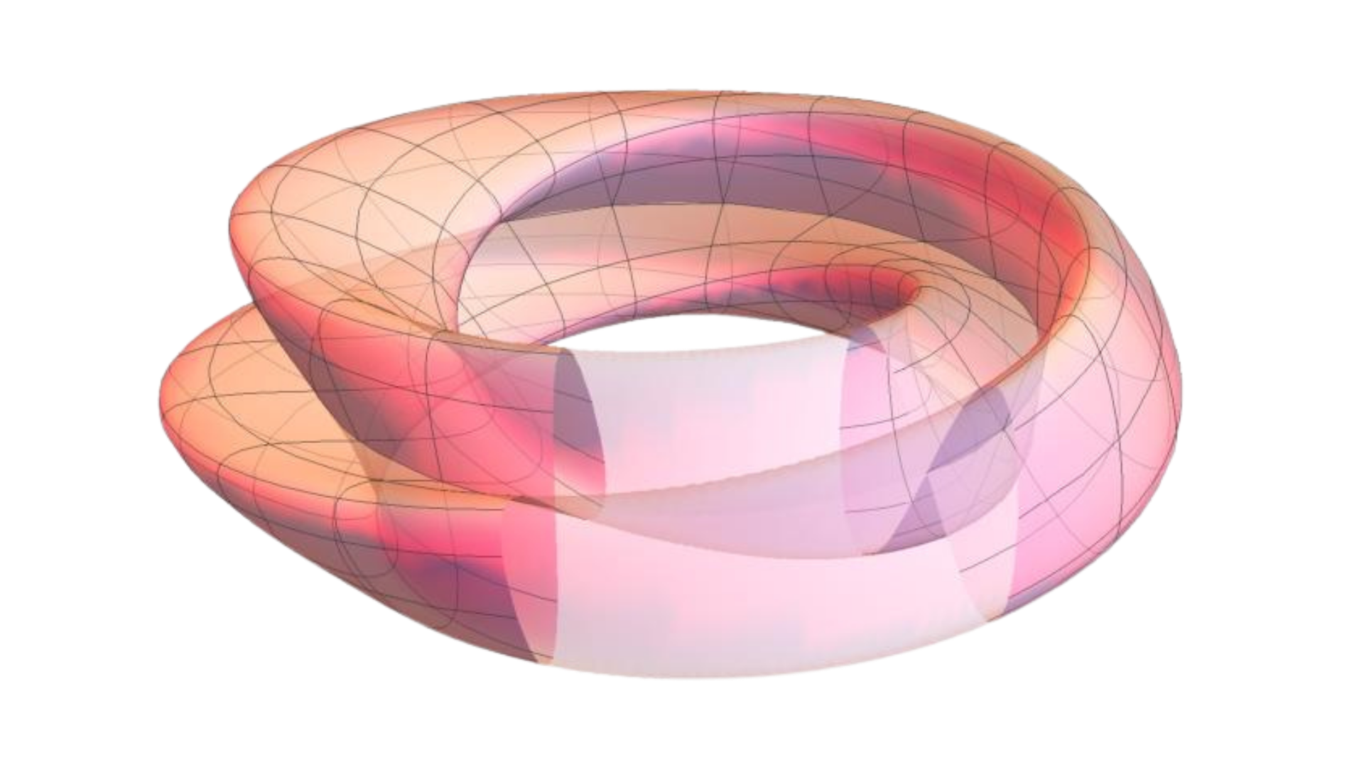 3D rendering of a torus-shaped object with a semi-transparent surface illustrating internal and external structures with gradient pink and orange coloring.