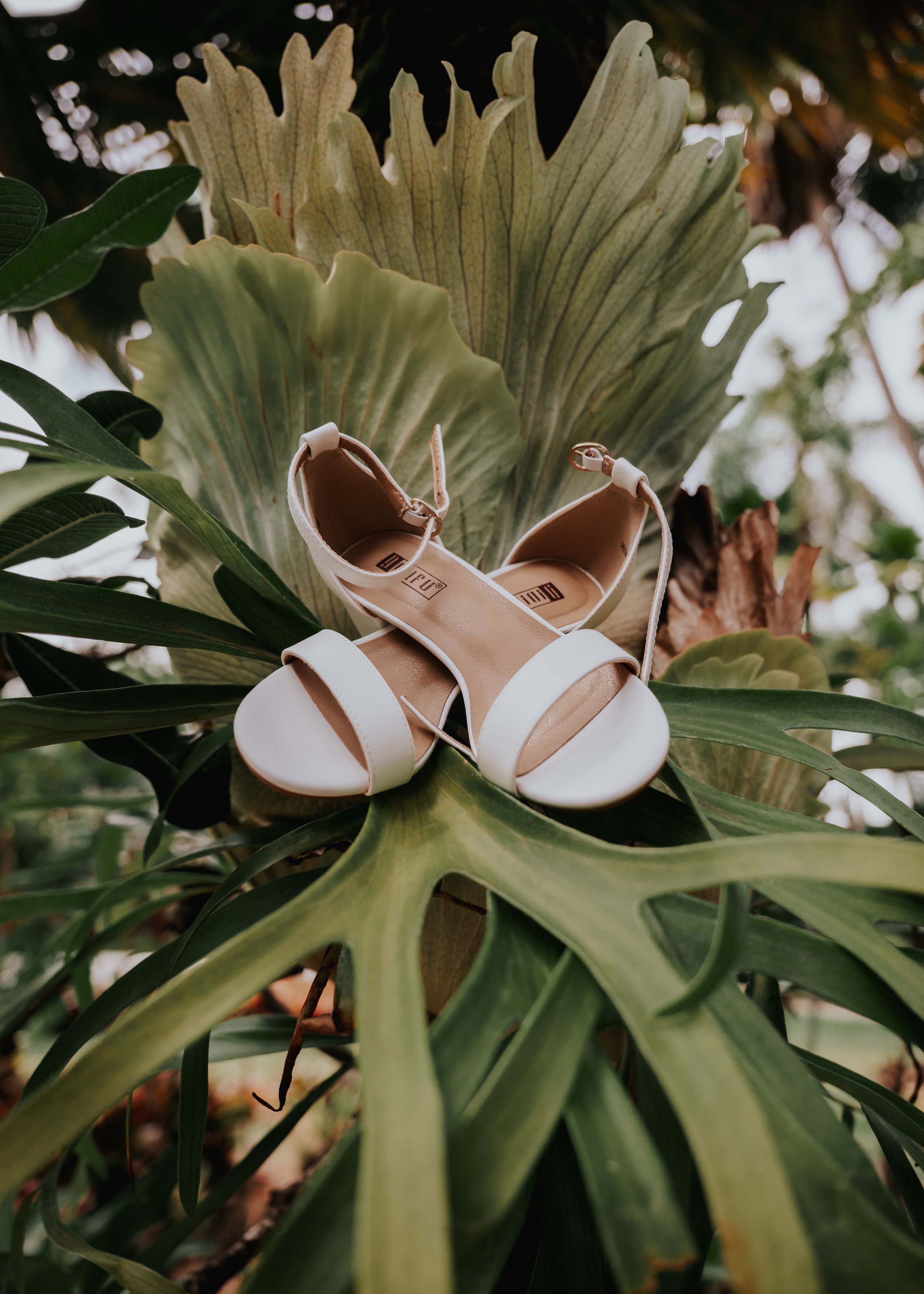 A pair of white high-heeled sandals resting on large green tropical leaves.