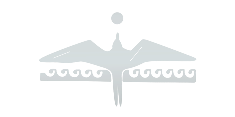 KA'I & CO LOGO the iwa bird with outstretched wings flying above stylized waves and a sun in the background.  | Best Hawaii Wedding Photographer & Videographer | Oahu, Hawaii Island, Kauai, and Maui