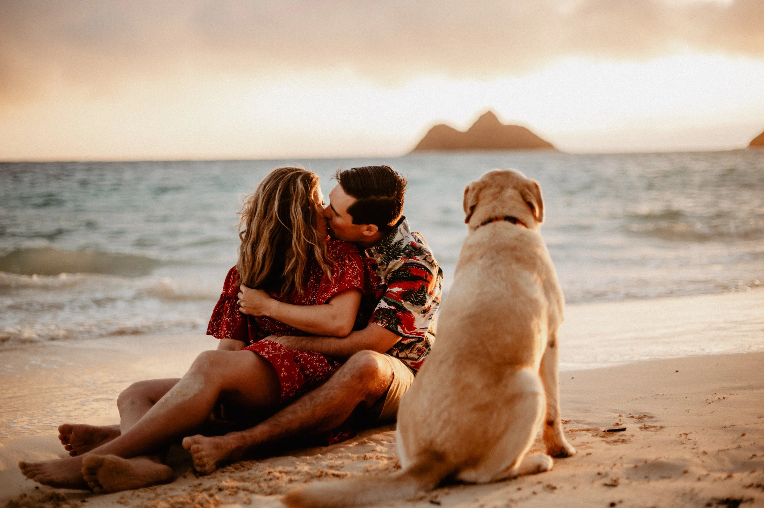 A couple kissing on the beach at sunset, with a dog sitting nearby and an island in the background.