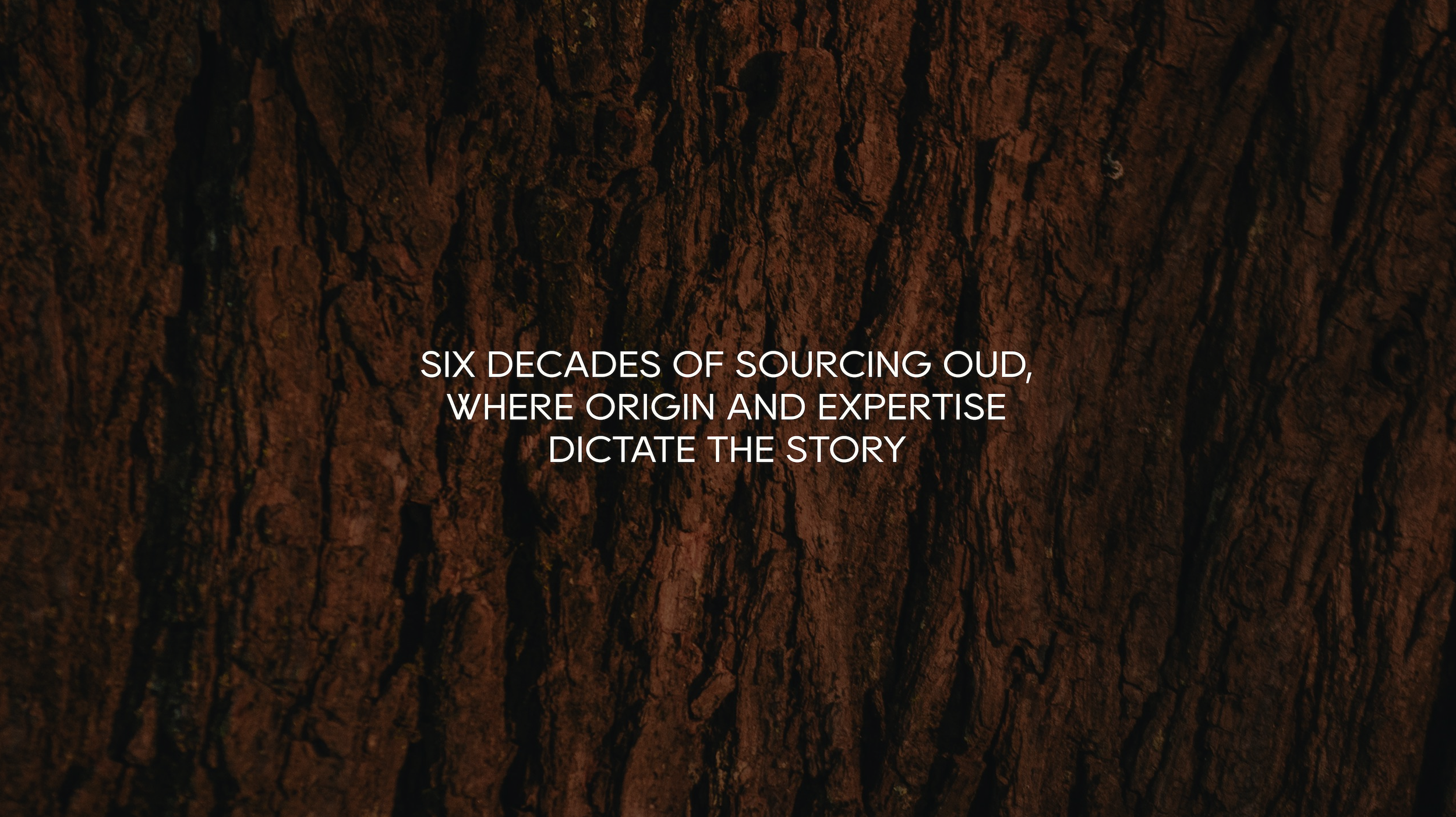 Screenshot 2026-04-09 at 21.14.02.png