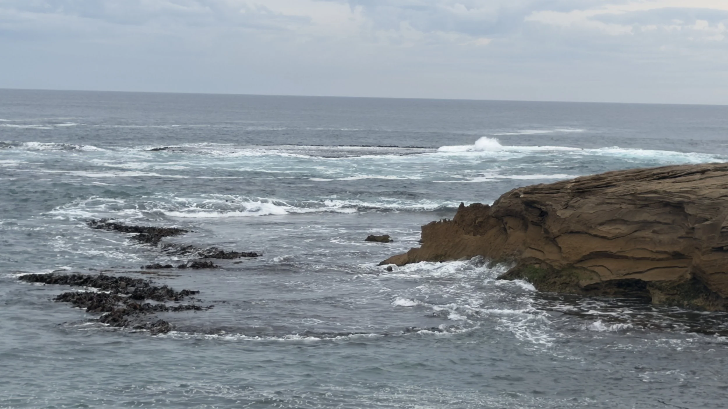 IMG_5993.jpeg
