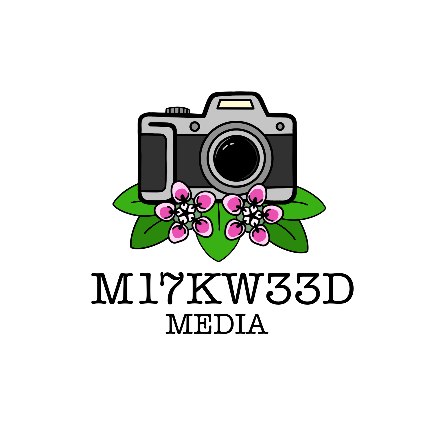 M17KW33D MEDIA