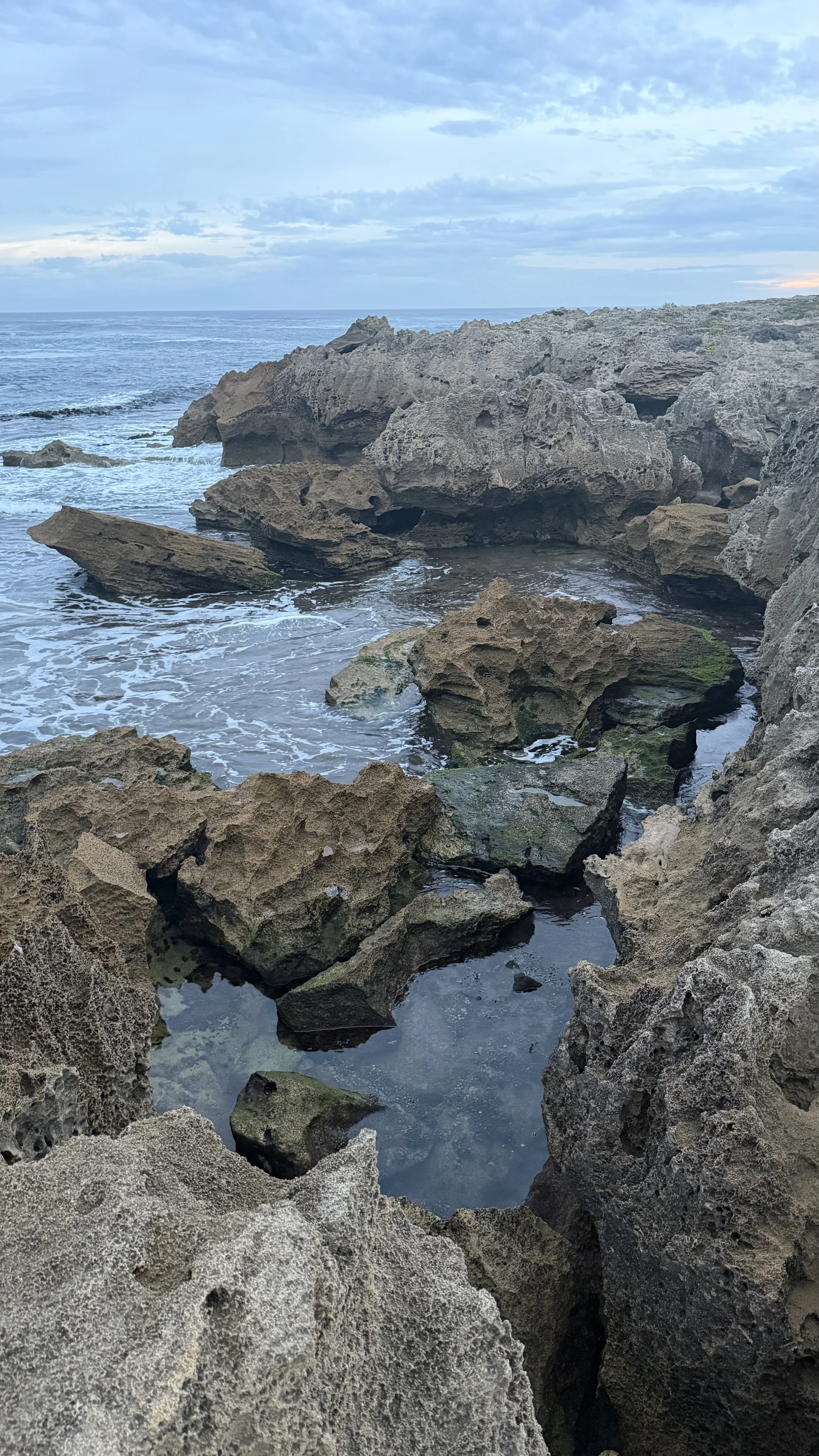 IMG_6025.jpeg