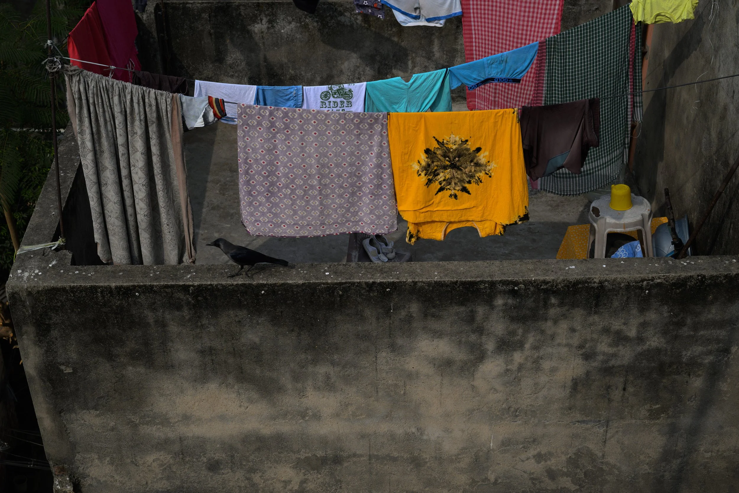 Clothes hanging on a clothesline above a stone boundary wall, with a black bird perched on the wall.