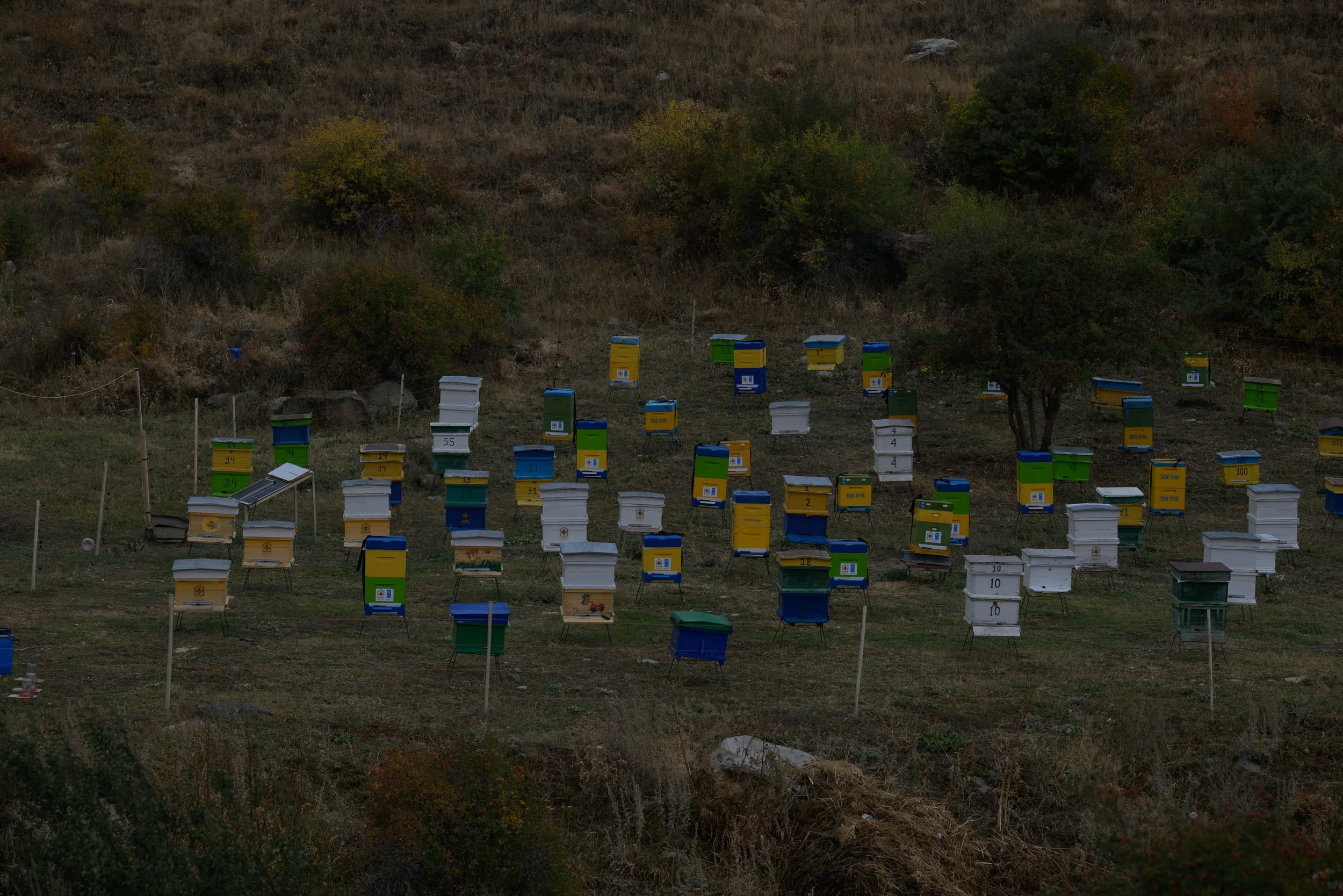Multiple colorful beekeeper hives on a grassy hillside with trees and bushes in the background.