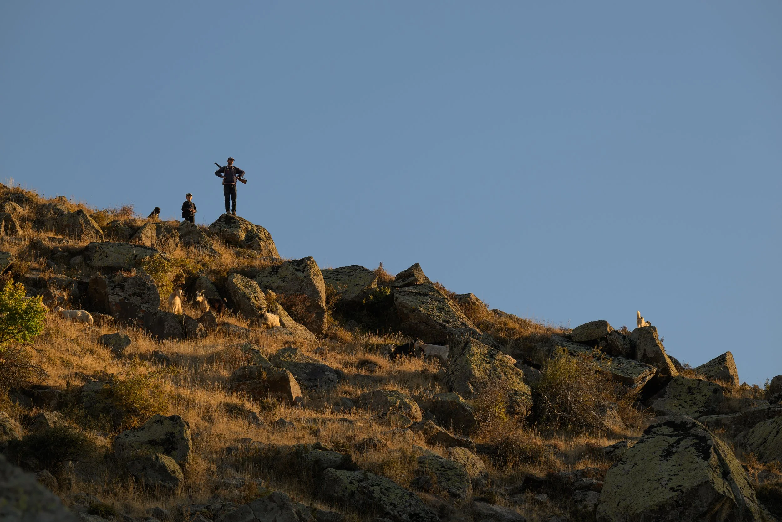 Three hikers, one carrying a sleeping bag, standing on rocky hillside with goats grazing and resting among rocks, under a clear blue sky.