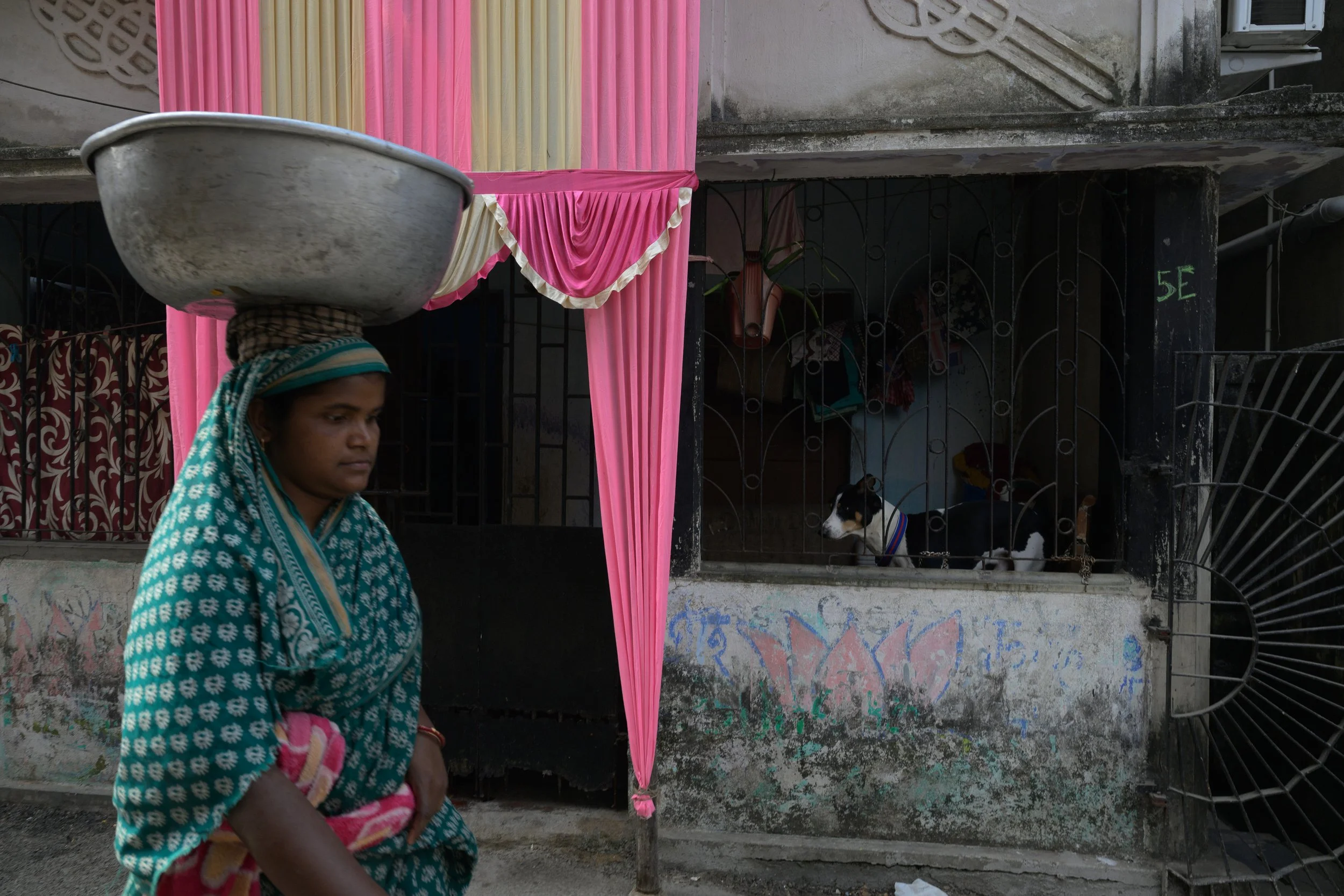 A woman walking outdoors balancing a large basin on her head, wearing a blue patterned dress and headscarf, with a pink and cream cloth hanging nearby, and a dog inside a cage in the background