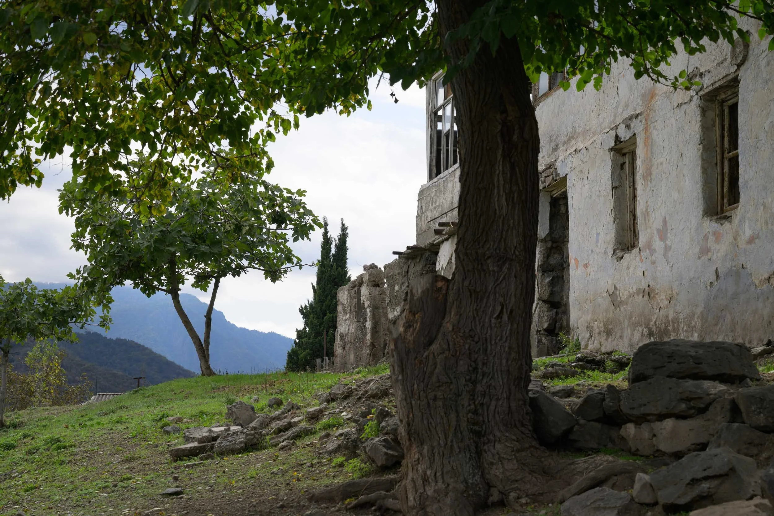 Old stone building with weathered windows and a large tree in front, green grass, rocks, and mountains in the background on a cloudy day.