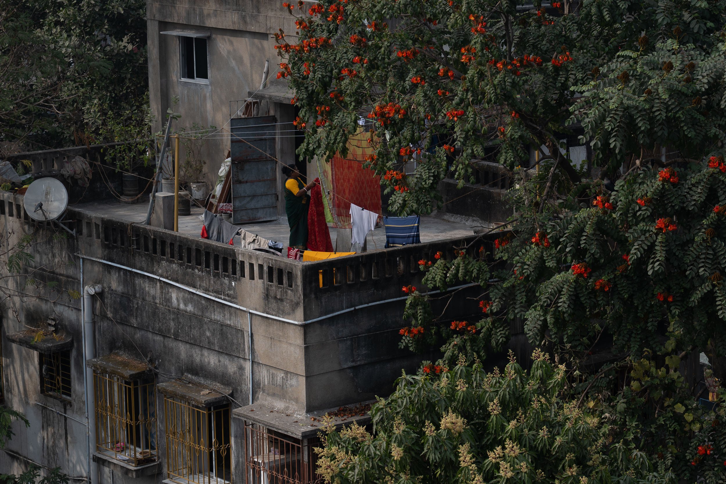 India_Kolkata_Color_8344.jpg