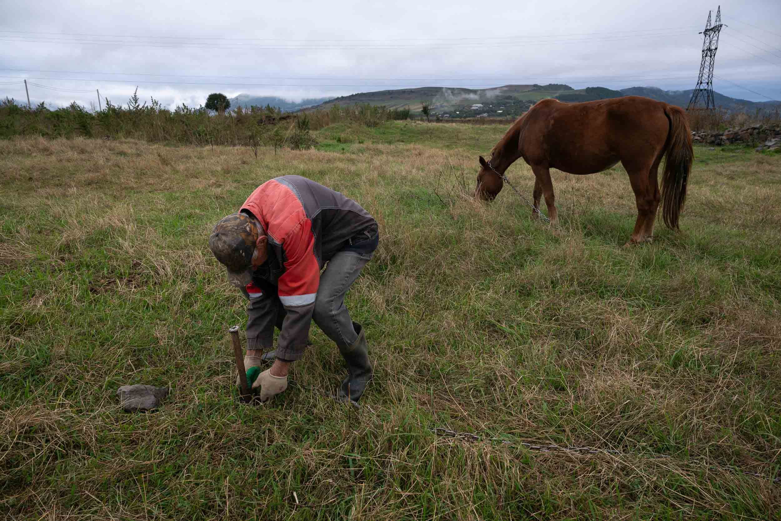 A person wearing work gloves and a cap is digging or planting in the field, with a brown horse grazing nearby. The landscape features grassy fields, scattered bushes, distant hills, and electric power lines under a cloudy sky.