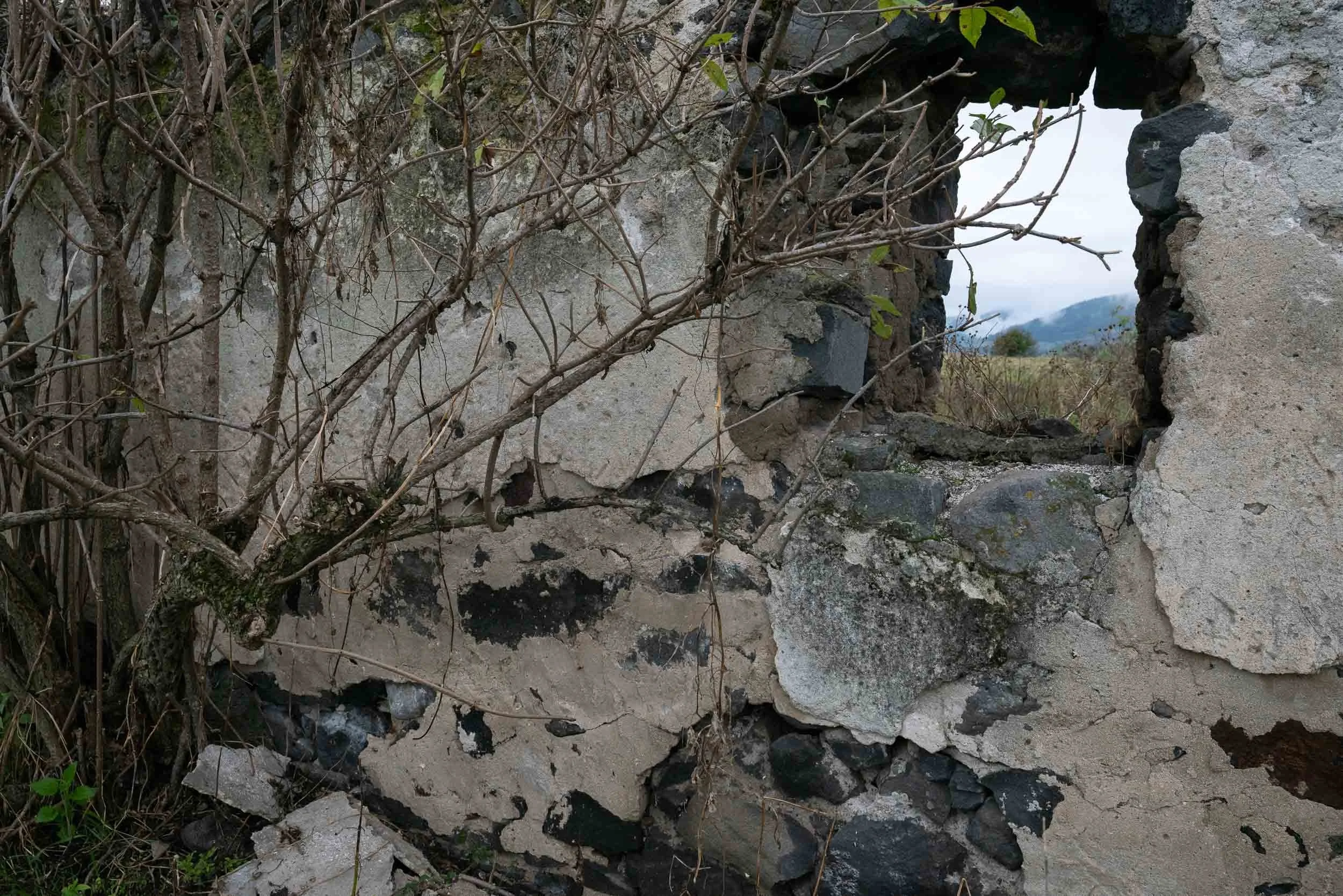 A view through a broken wall with crumbling concrete and rocks, showing the outdoors with hills and sky in the background, along with some overgrown plants and branches.