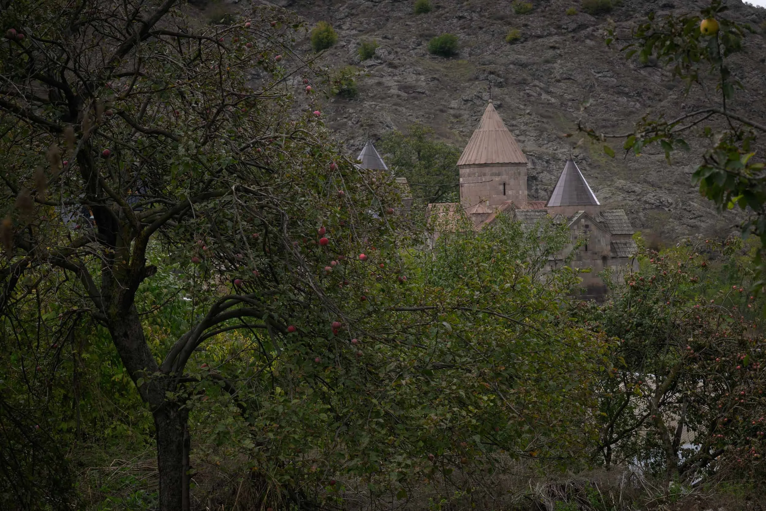 Apple trees in an orchard with a historic stone building with towers in the background, set in a hilly landscape.