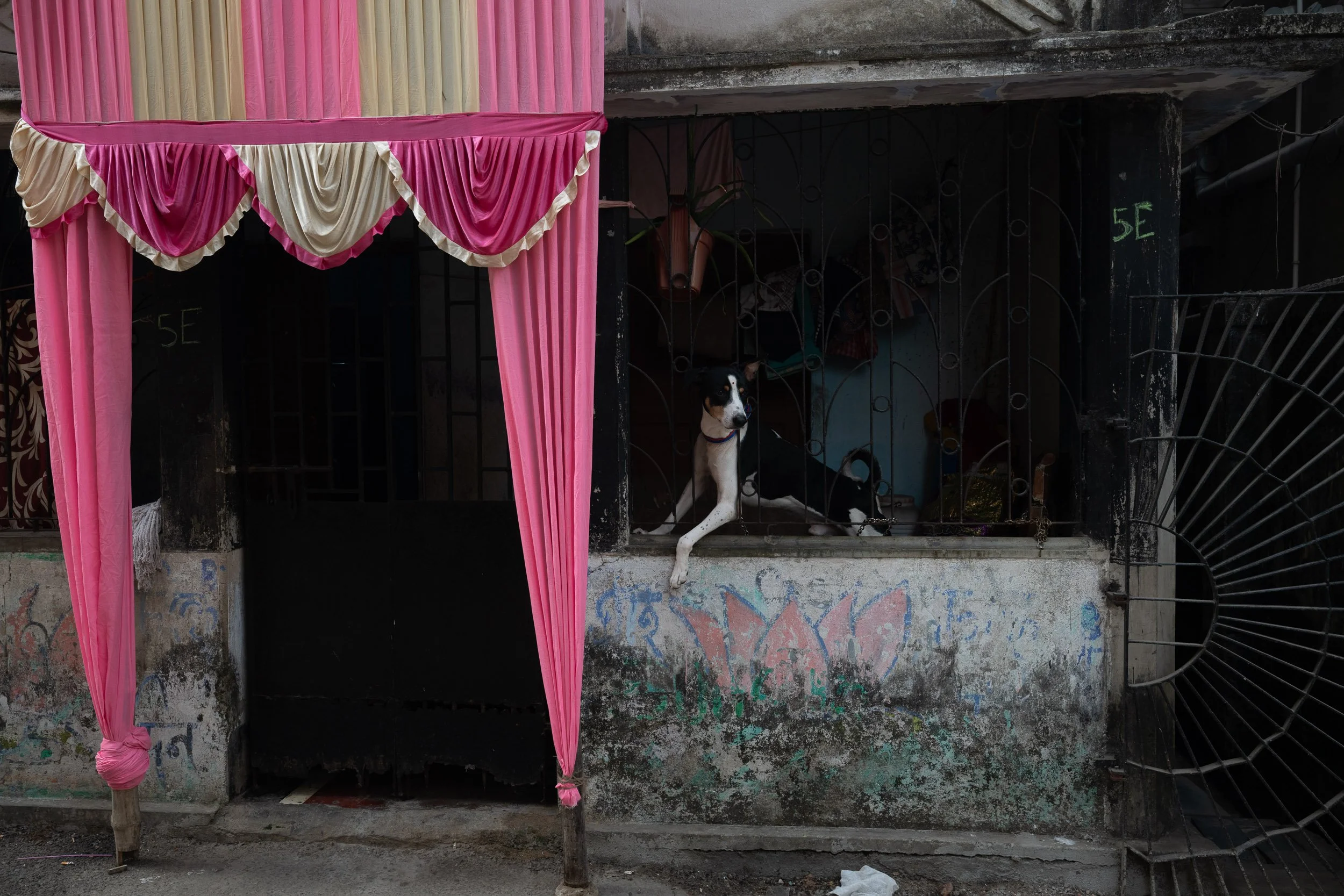 India_Kolkata_Color_7239.jpg