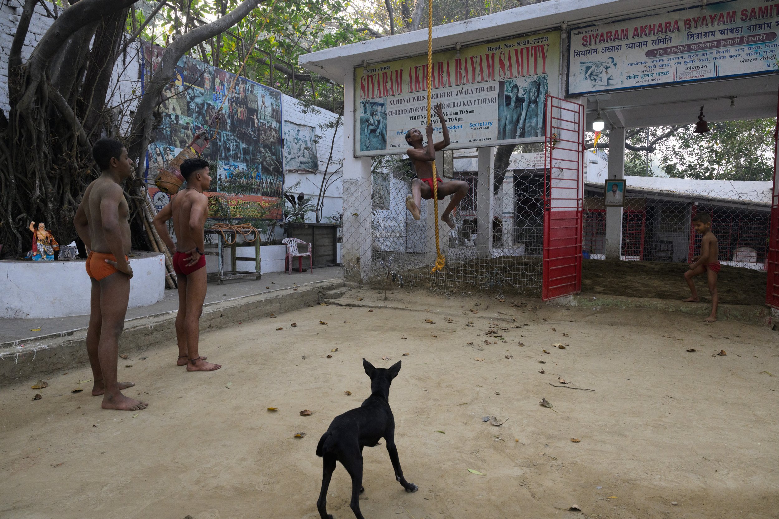 Young boys practicing martial arts outdoors, with a boy swinging on a rope and others standing nearby, a dog watching, and banners and posters on the wall in the background.