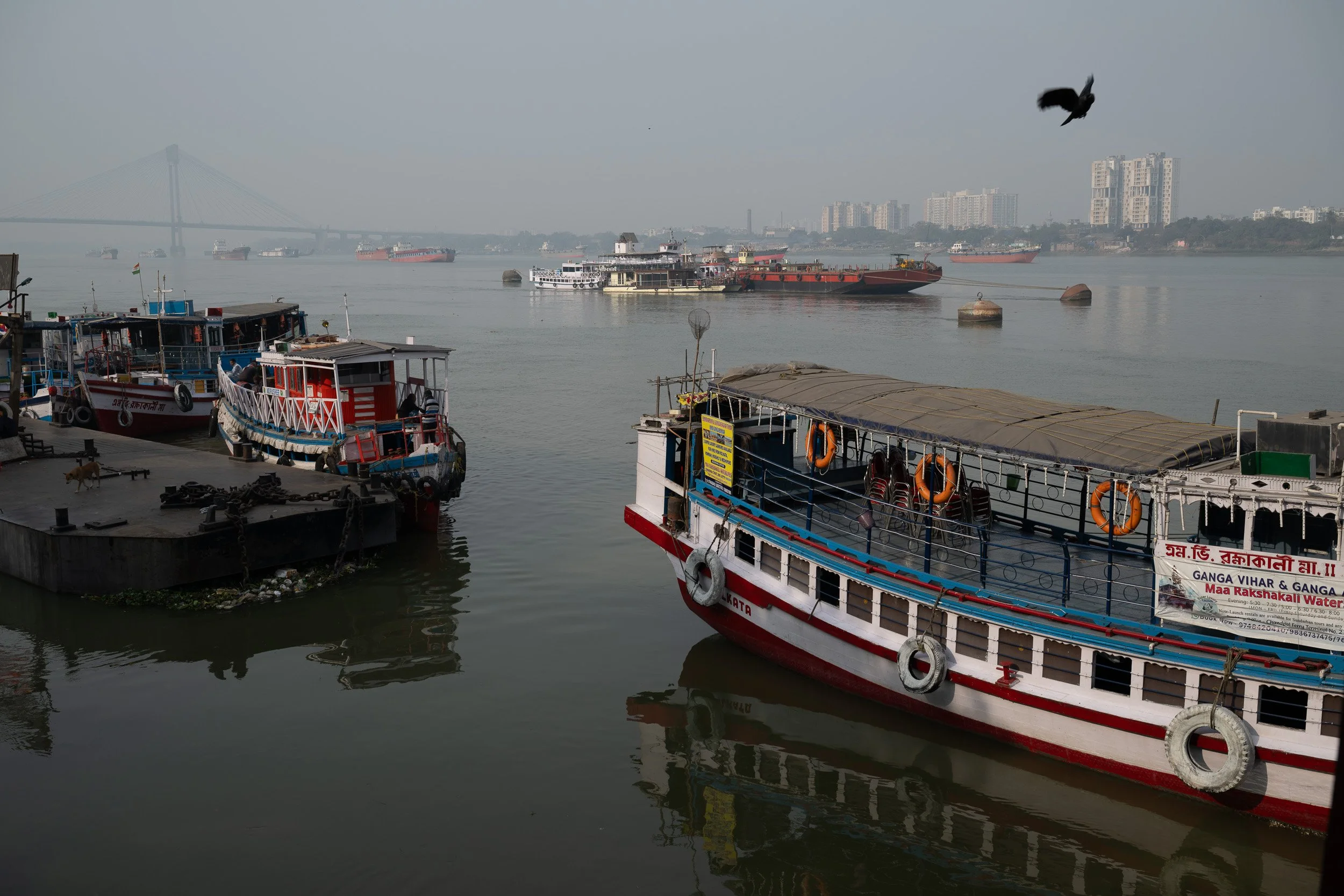 India_Kolkata_Color_9883.jpg