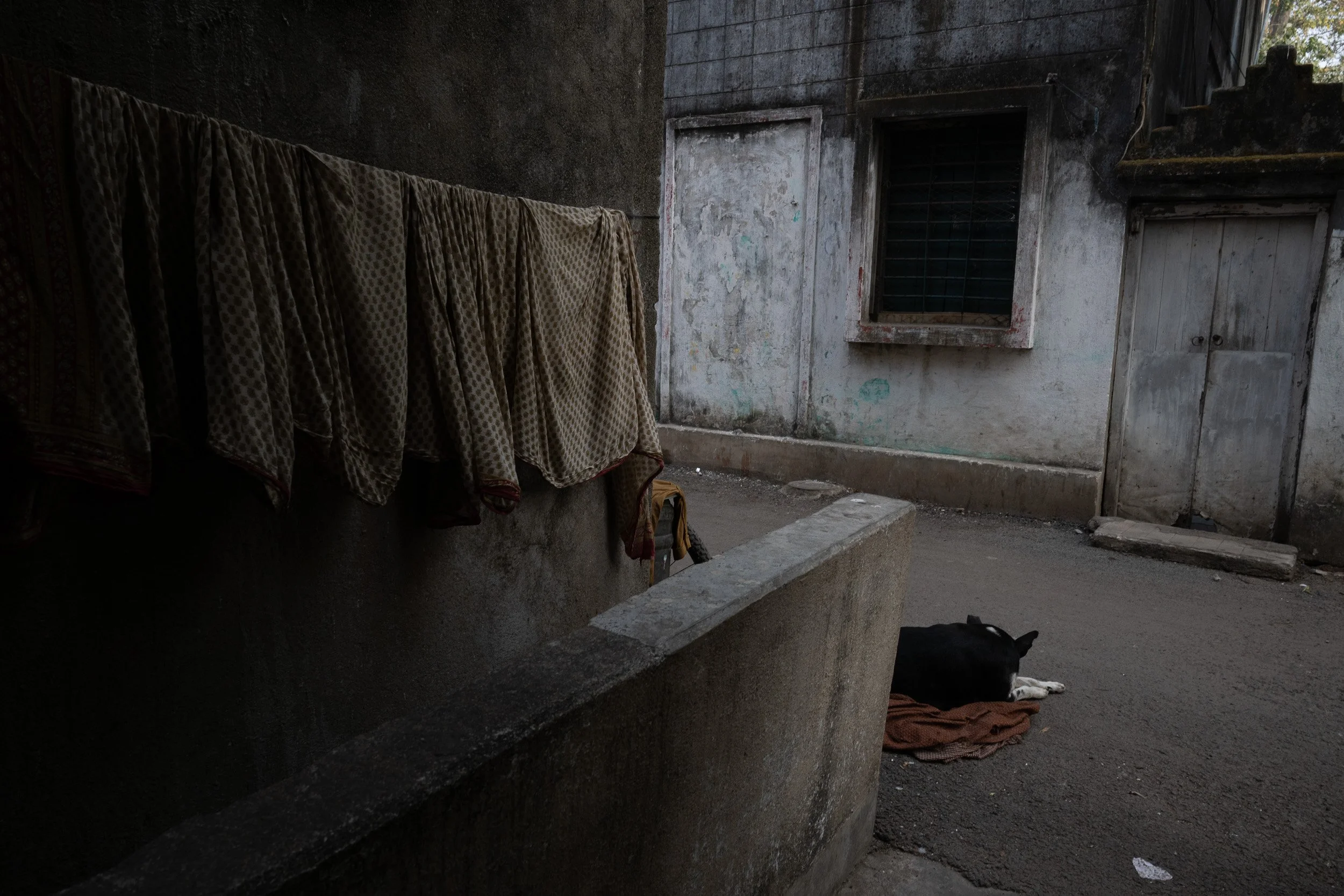 India_Kolkata_Color_8682.jpg