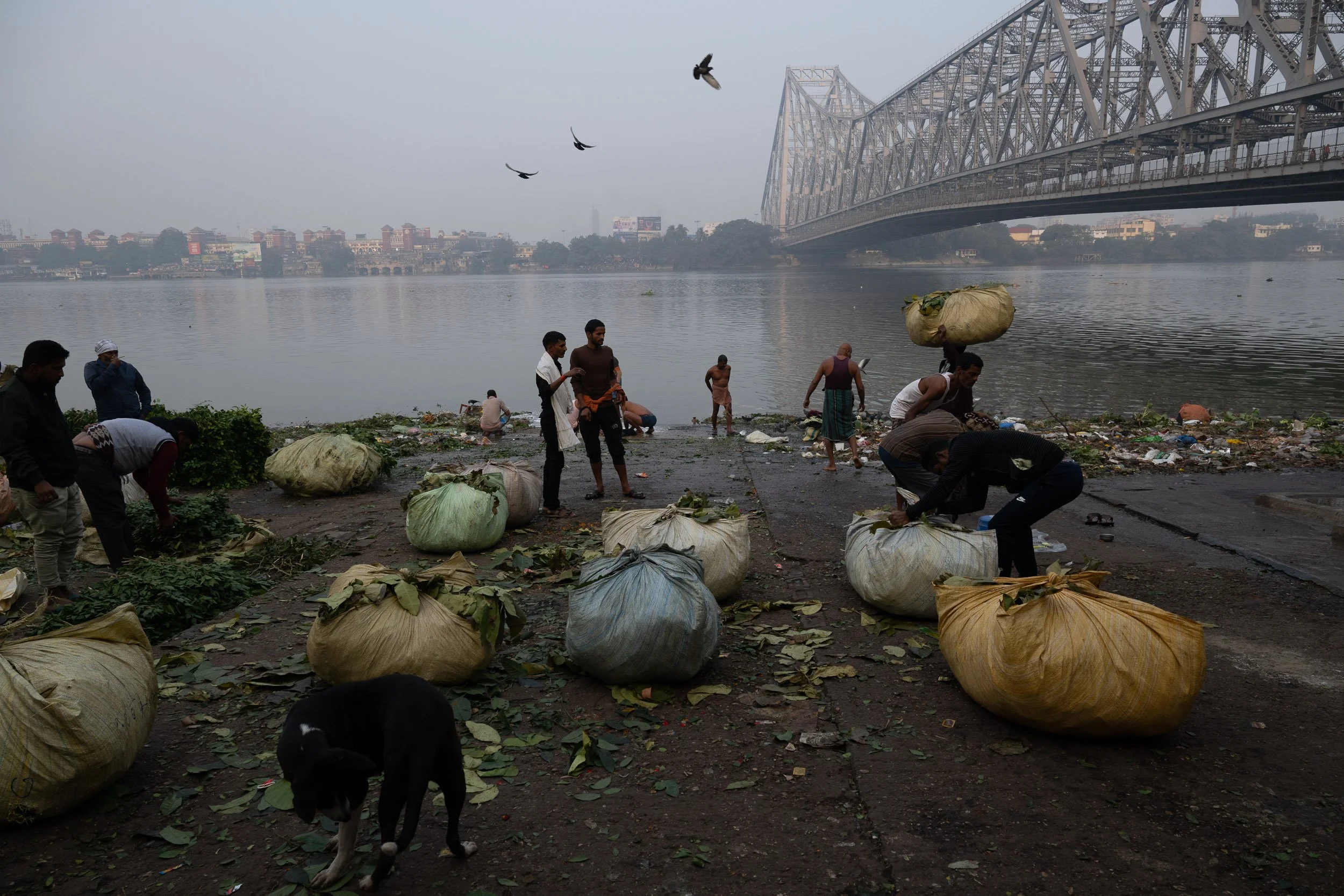 India_Kolkata_Color_3679.jpg