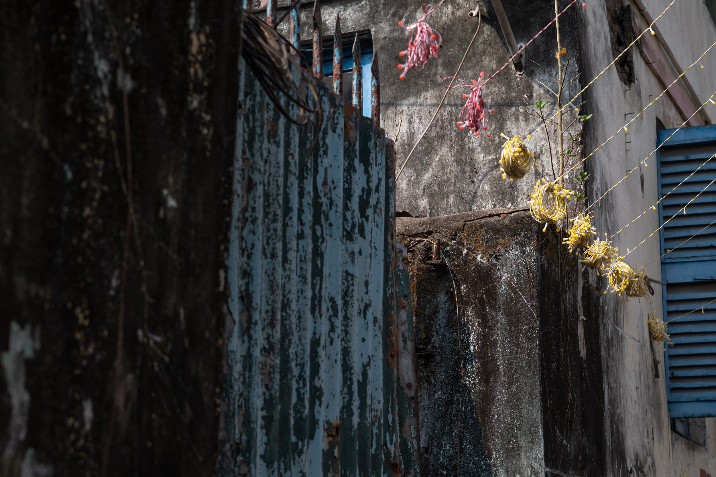 India_Kolkata_Color_8267.jpg