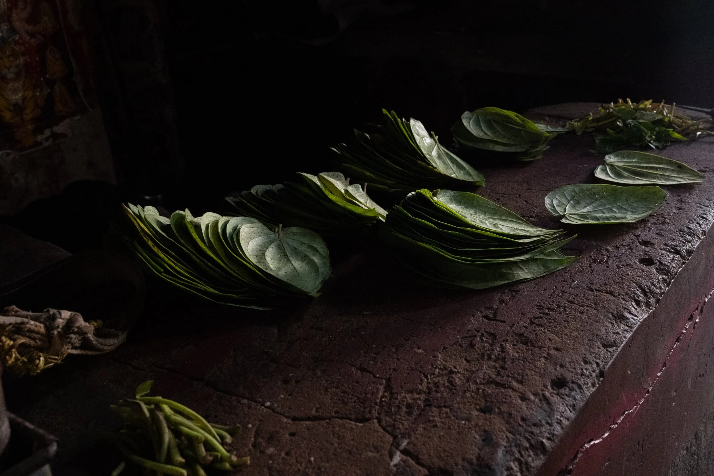 India_Kolkata_Color_8475.jpg