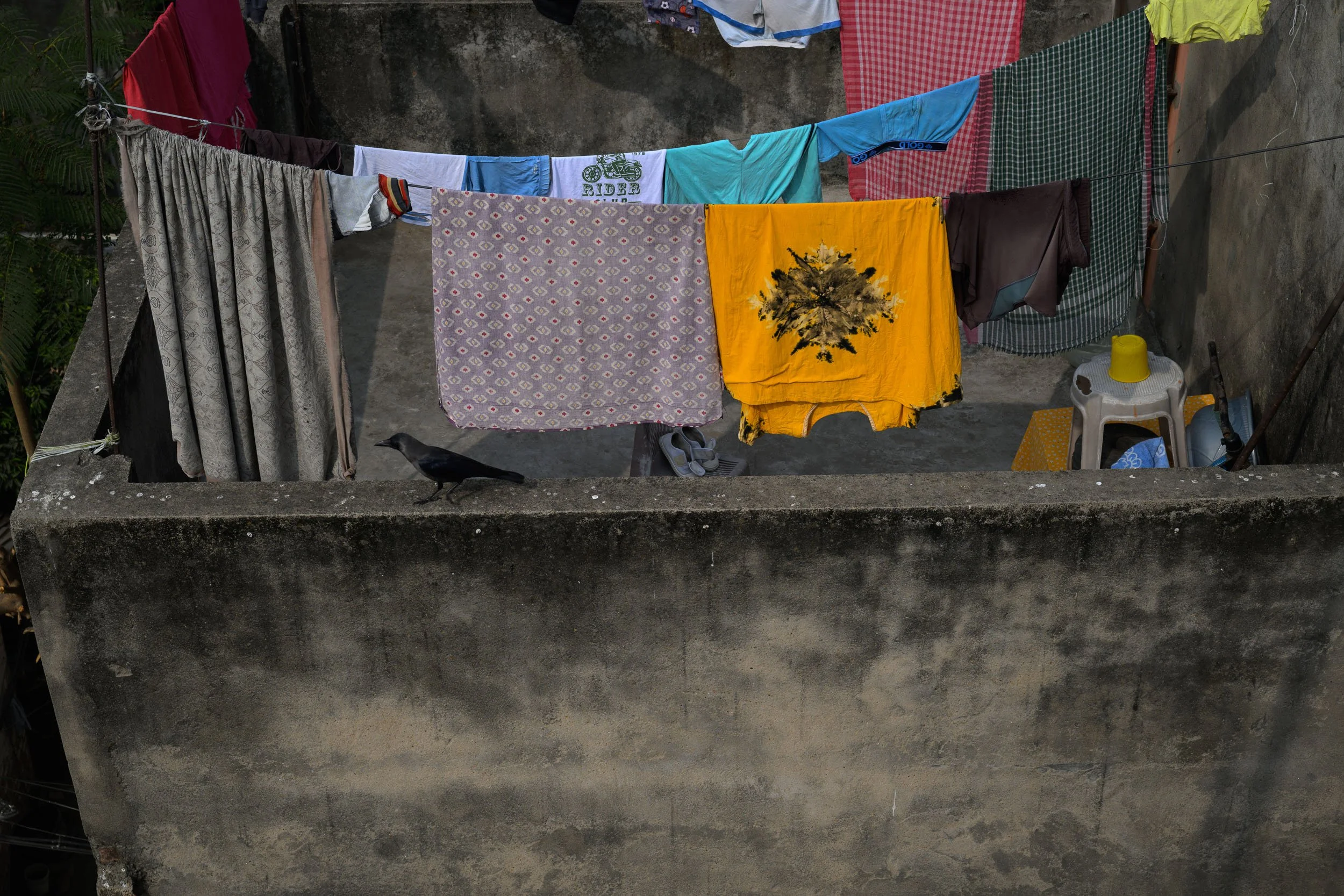 India_Kolkata_Color_8233.jpg
