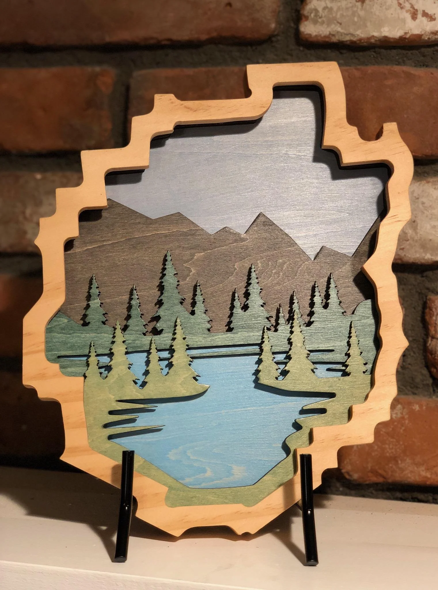 Adirondack Shadow Box