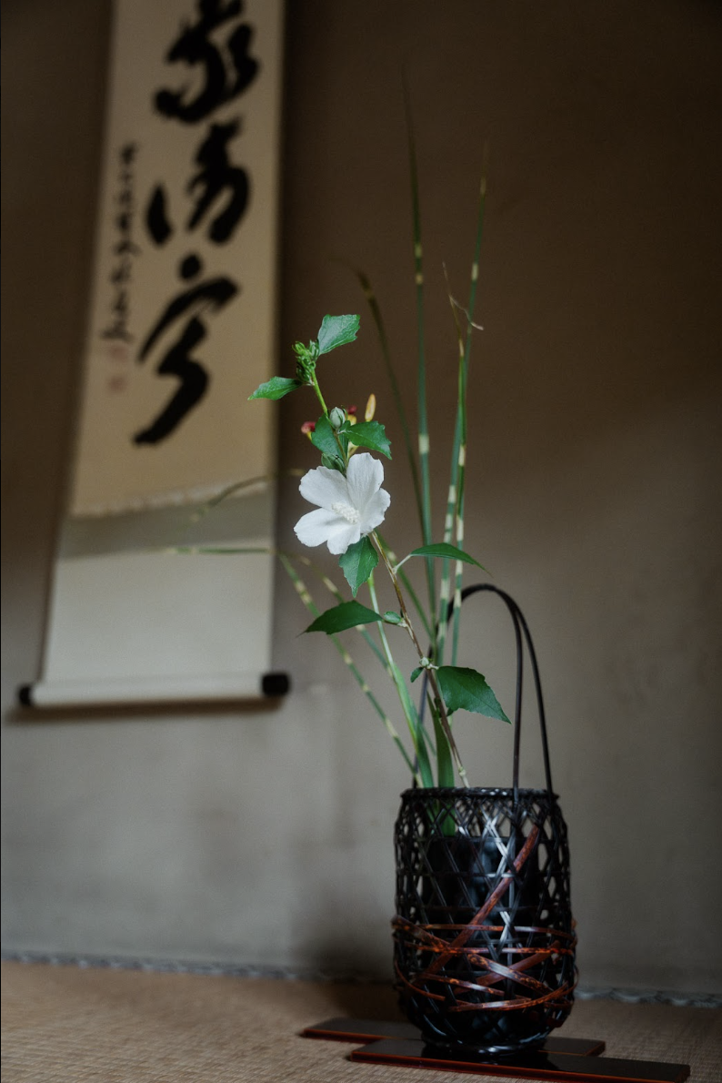 Chabana: The Art of Arranging Flowers Like They Are in the Field
