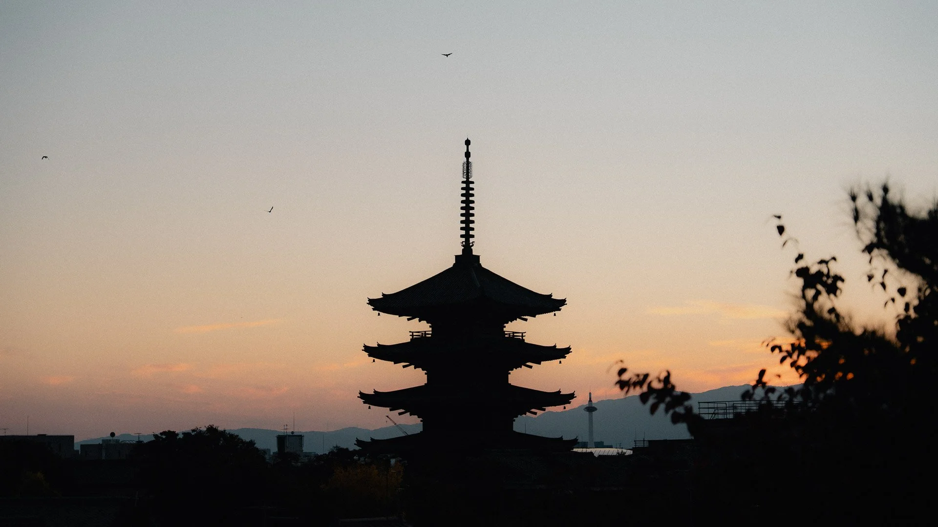 Is a private tea ceremony worth it in Kyoto?