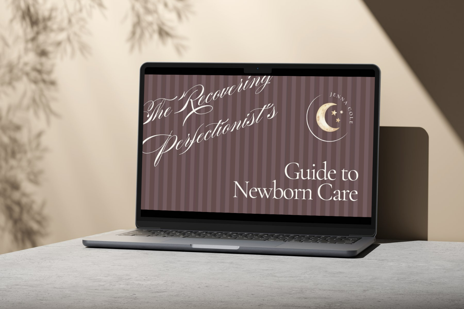 Computer with The Recovering Perfectionist's Guide to Newborn Care title page.