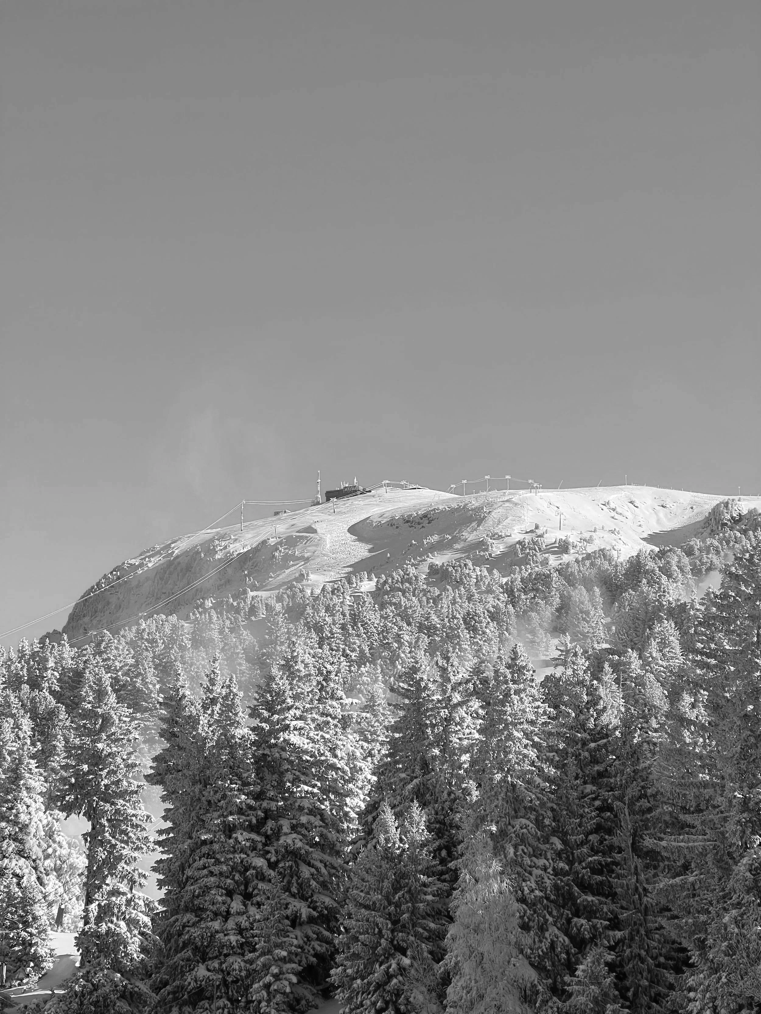 Montagne enneigée avec des arbres couverts de neige et une cabine en haut de la montagne.