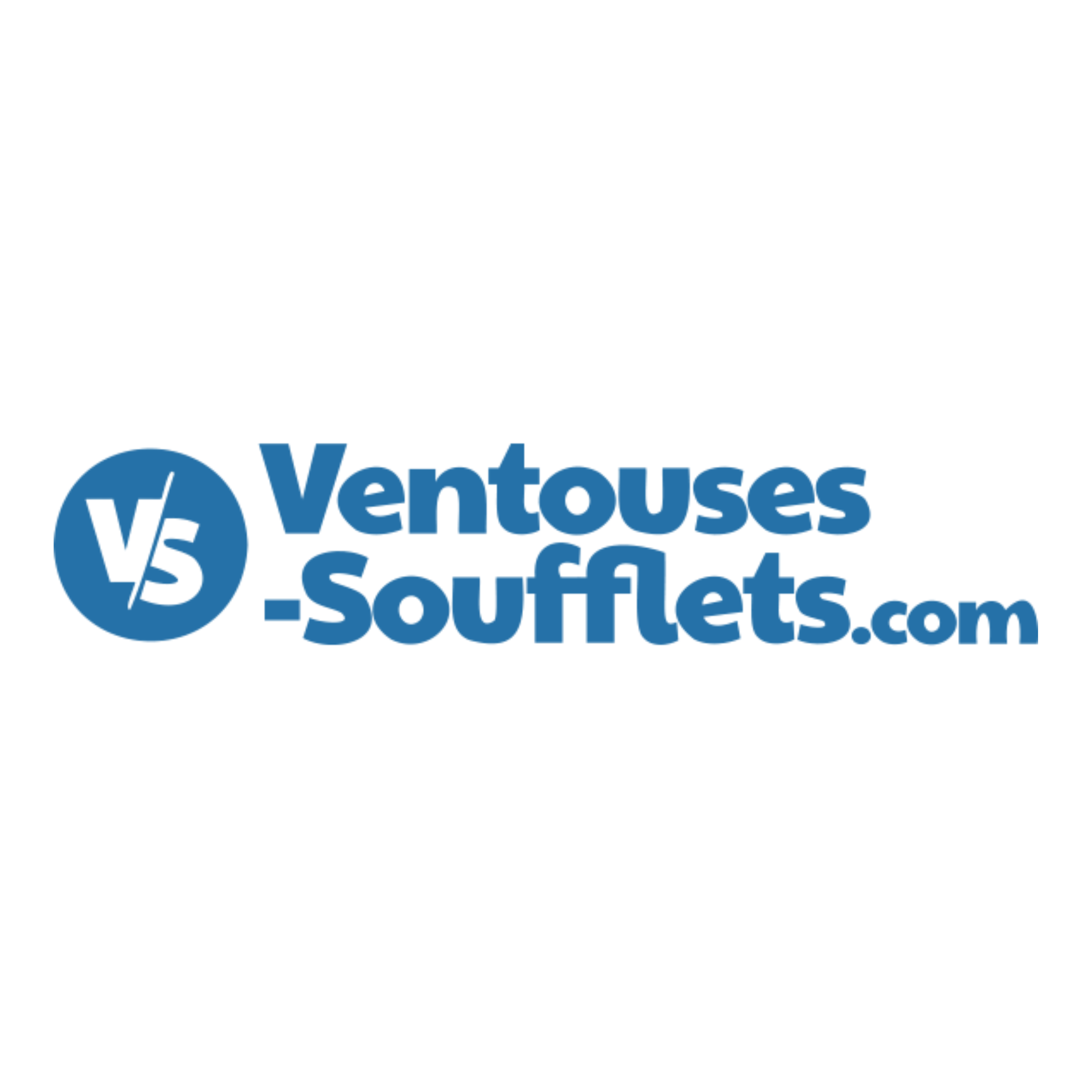 Logo bleu avec texte « Ventouses-soufflets.com » et un symbole circulaire contenant les lettres V et S séparées par une ligne diagonale.