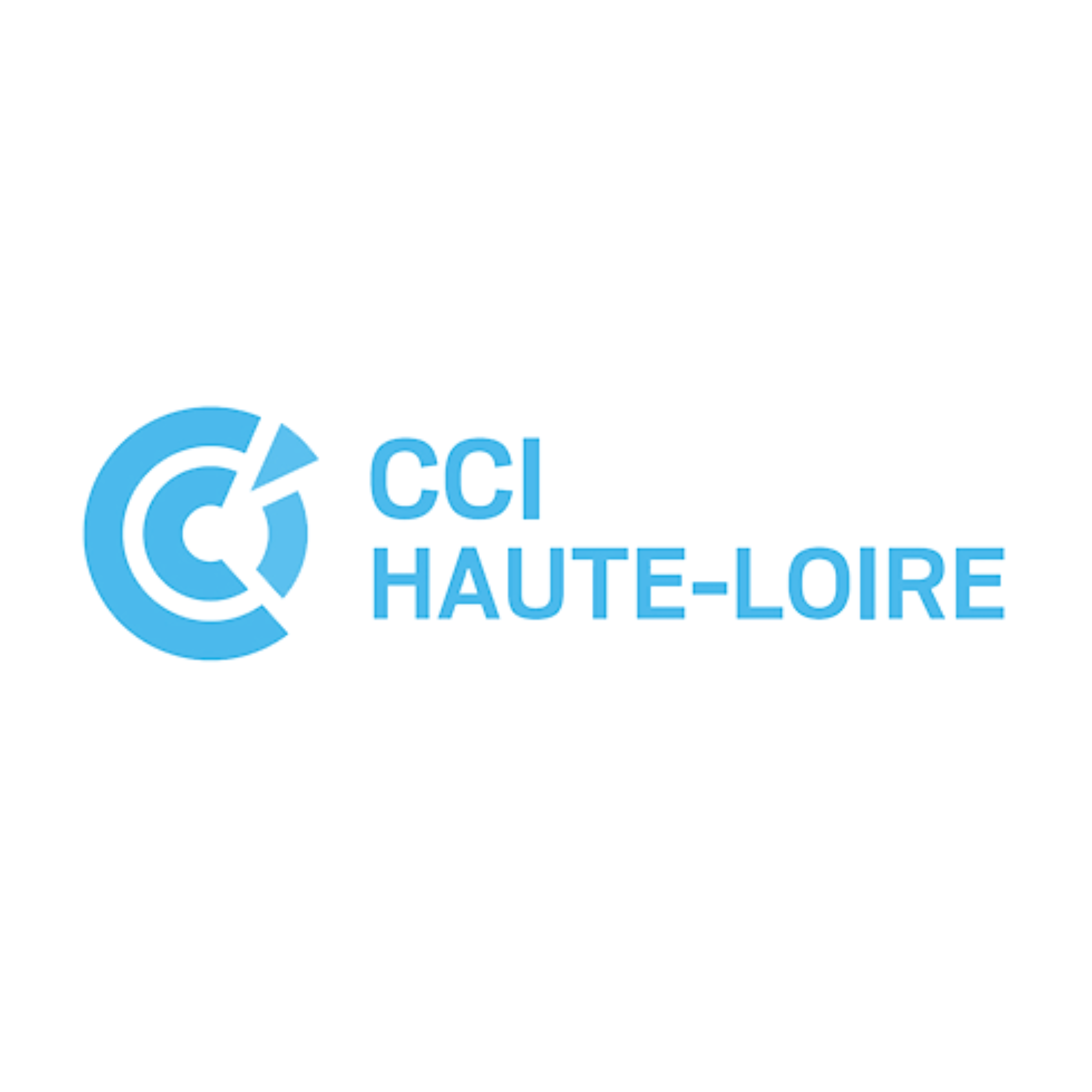 Logo en bleu clair du Conseil de la Chambre de Commerce et d'Industrie de la Haute-Loire avec le texte 'CCI Haute-Loire'.