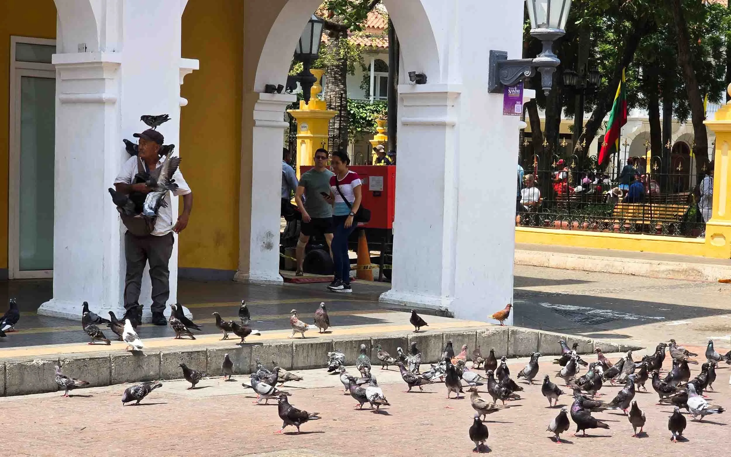 Bird man in Cartagena. I am not sure if he was doing this for a fee, but it was certainly interesting to see how the birds gravitate to him without any fear. [kj]
