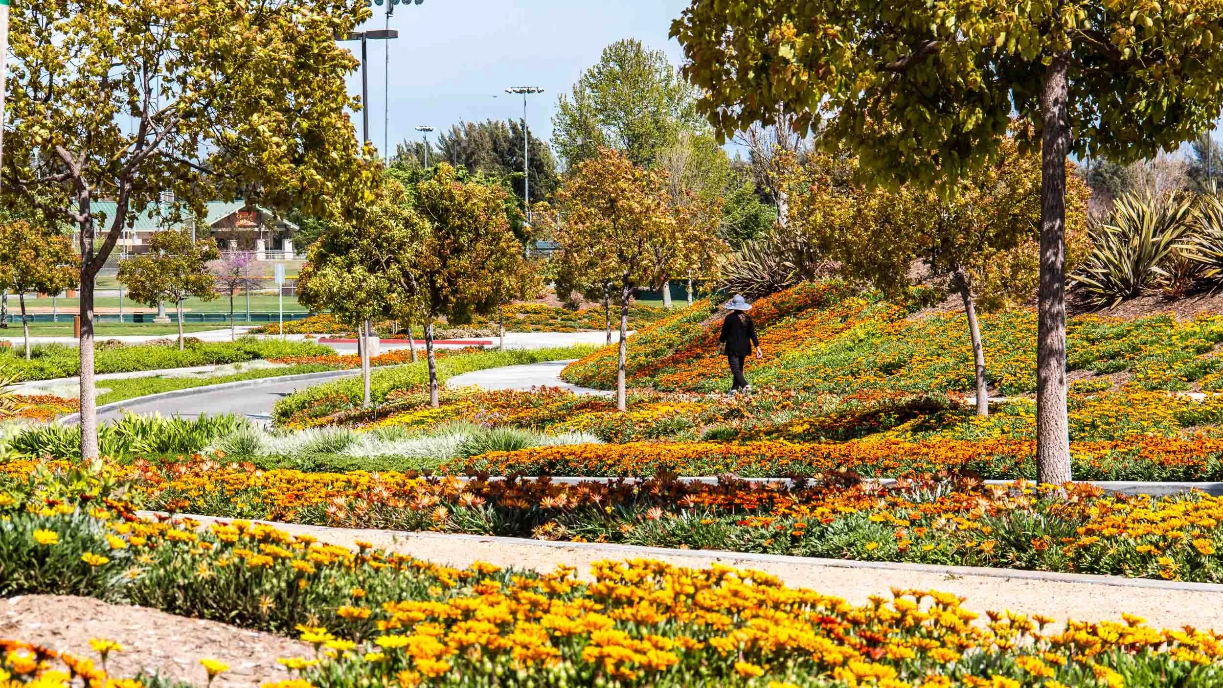 20160322-IMG_6347-Fountain Valley-Mile Square Park in spring-exb001.jpg