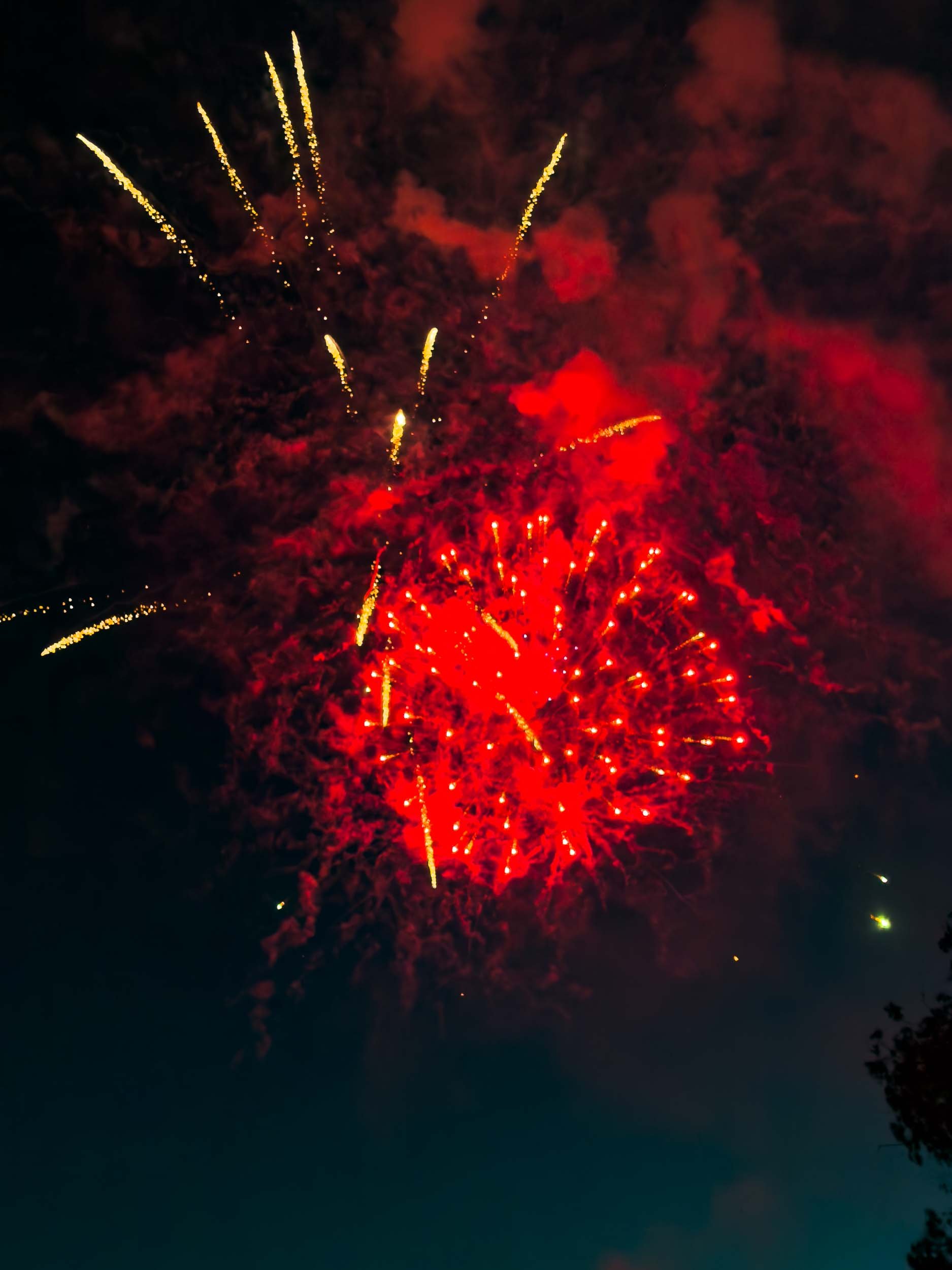 202607042047-IMG_2286-Santa Ana-Centennial Park Fireworks.jpg