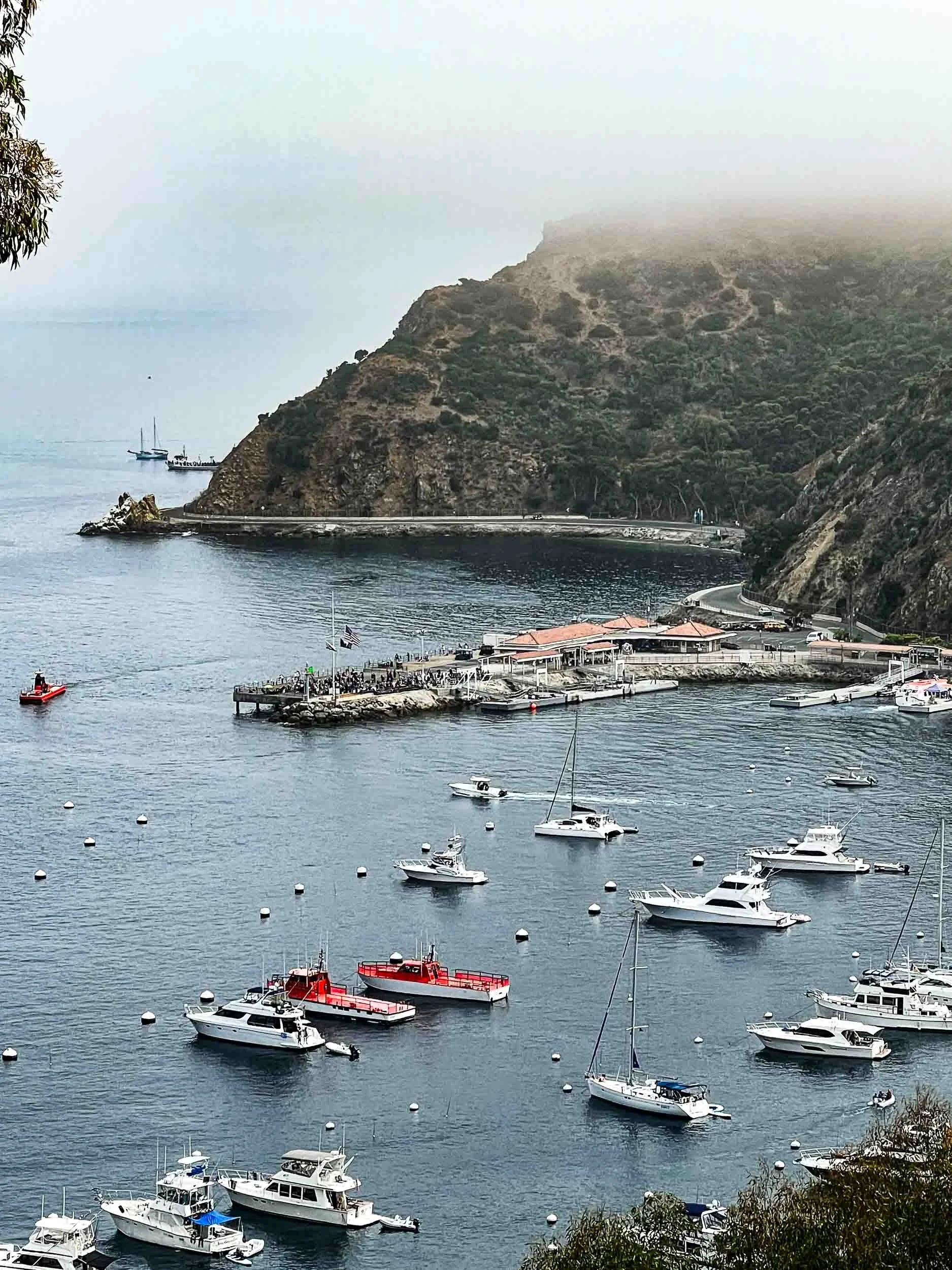 Avalon Harbor on Catalina Island.
