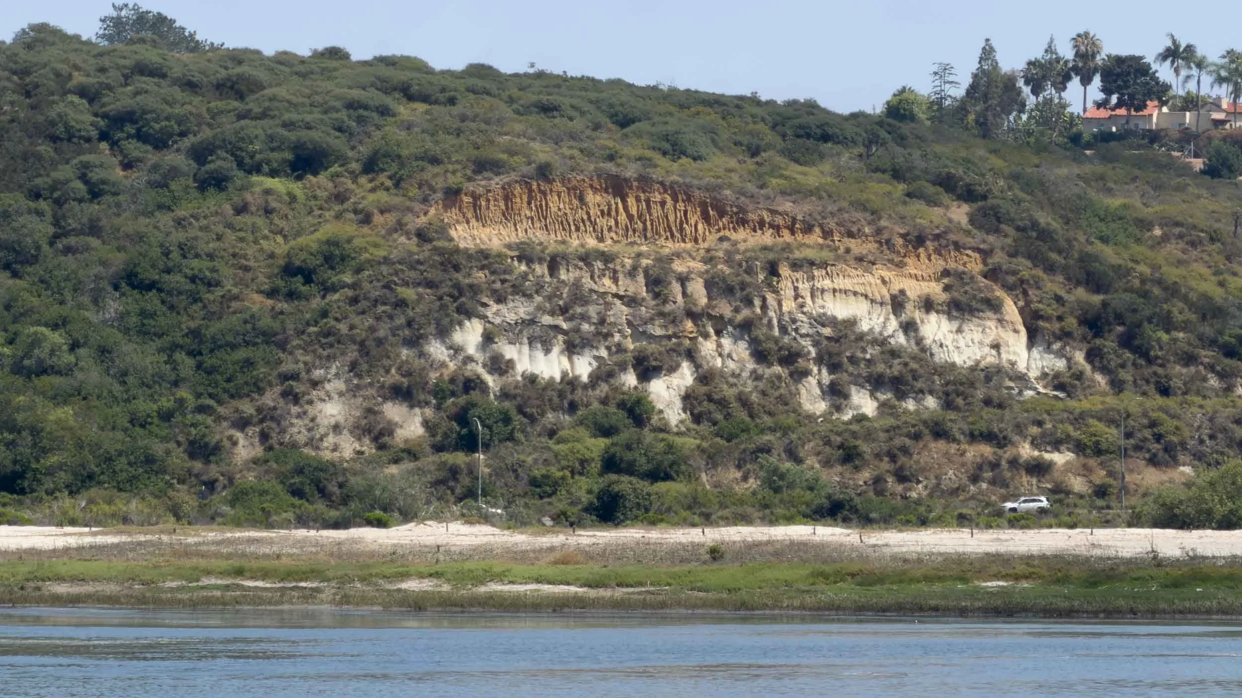 Sedimentary rocks that are characteristic of the coastal bluffs in the Carlsbad area.