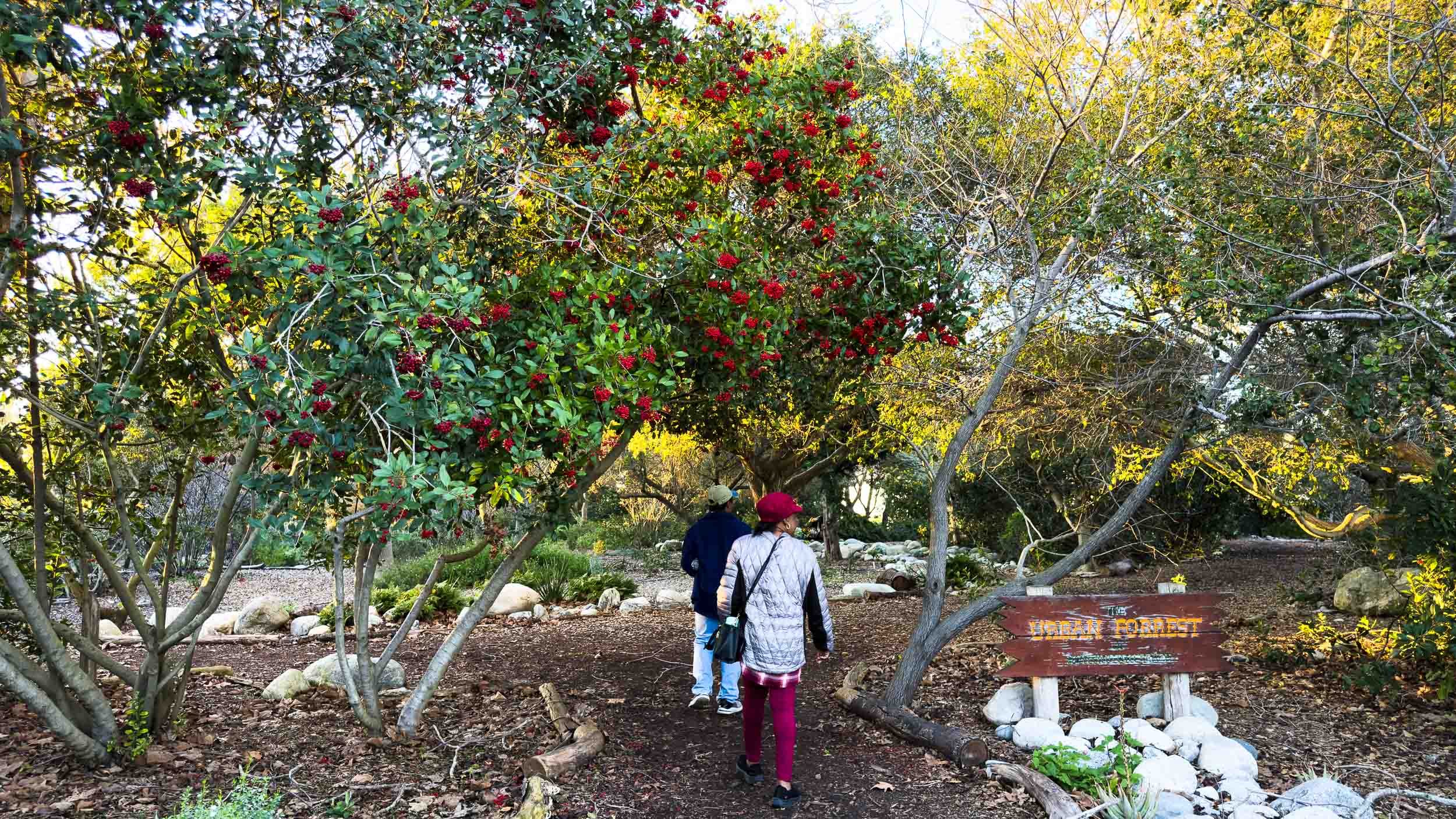 Scenes around Urban Forest #6