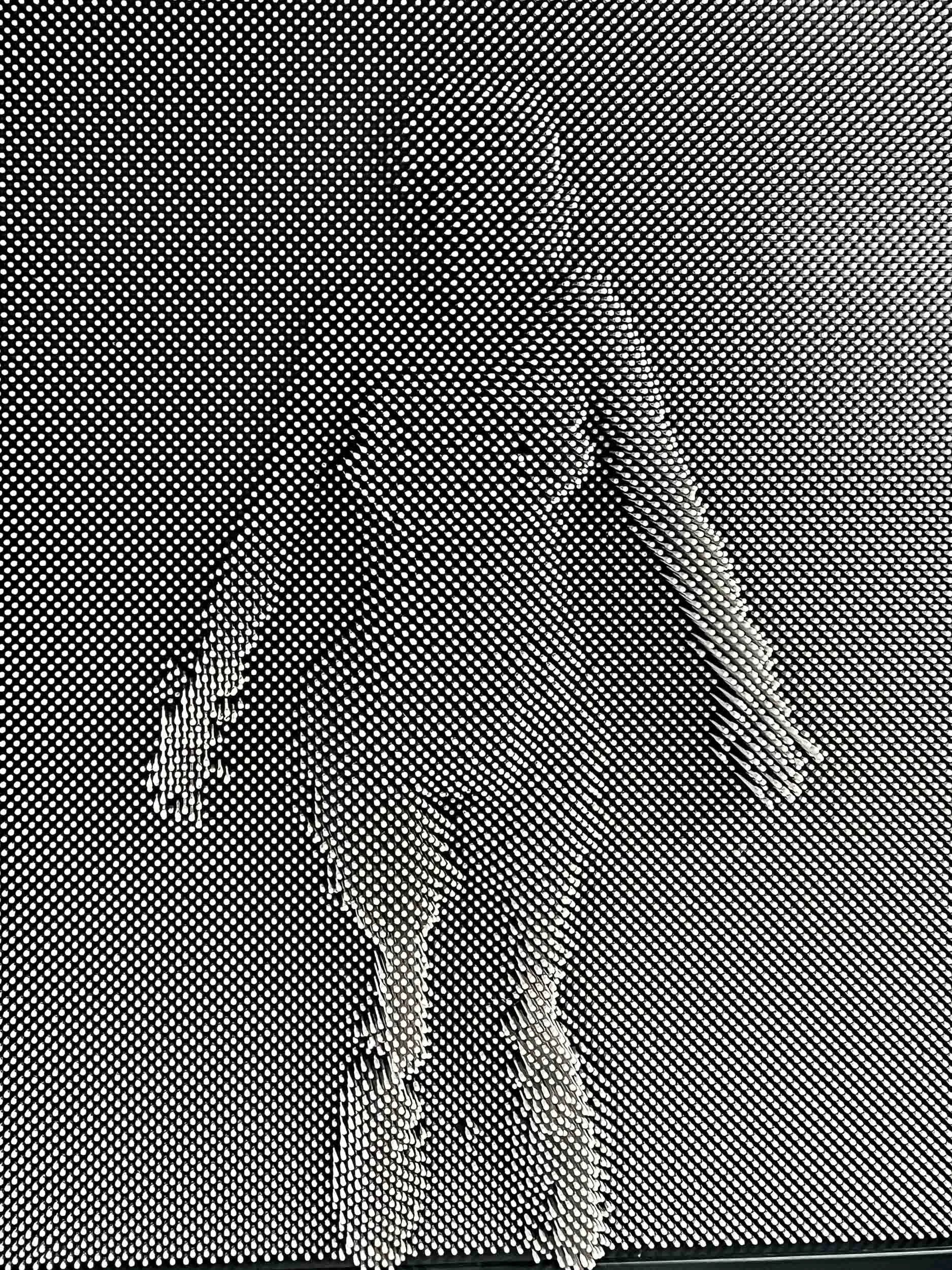 202509291512-IMG_8837-San Diego-Museum of Illusions.jpg