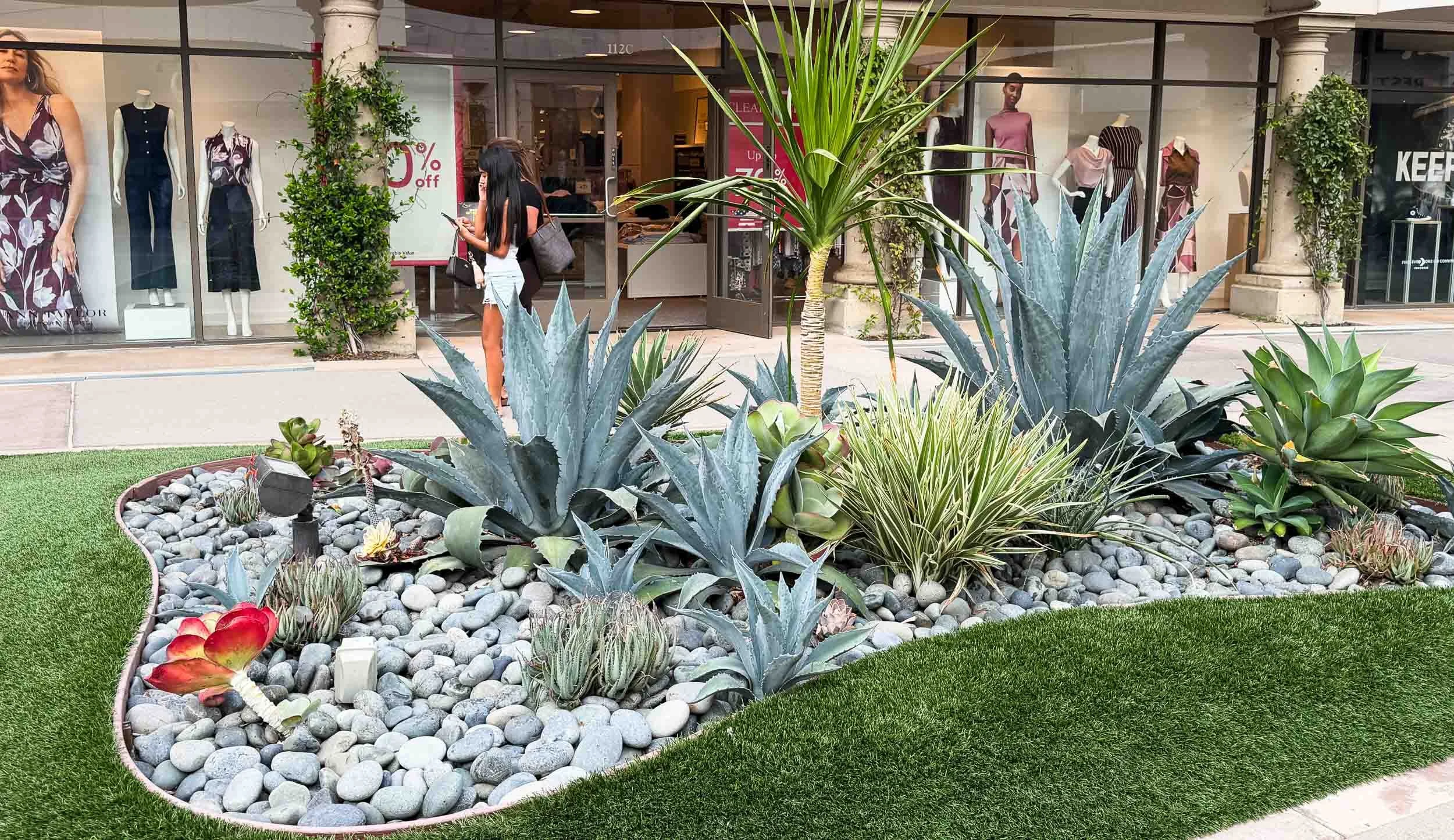 202608141821-IMG_2598-Carlsbad-Cactus Garden at the Mall.jpg