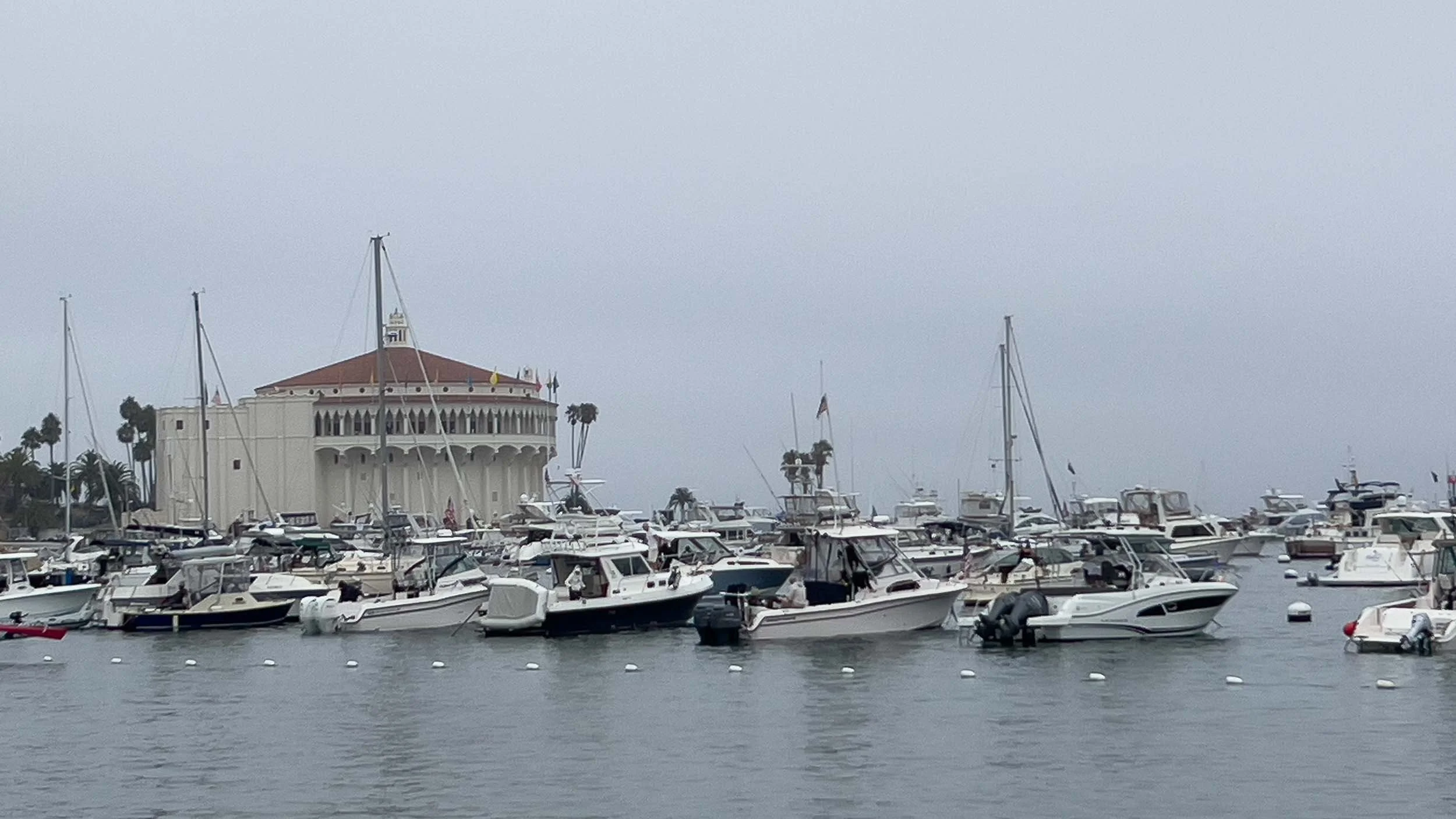 California Coast #2 - 2024