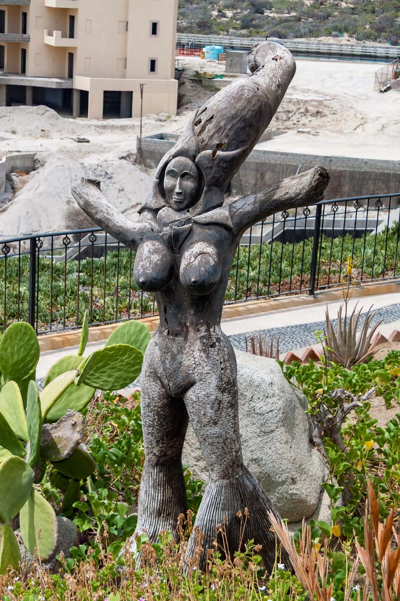 20110823-IMG_5463-Cabo San Lucas-Sunset Da Monalisa.jpg