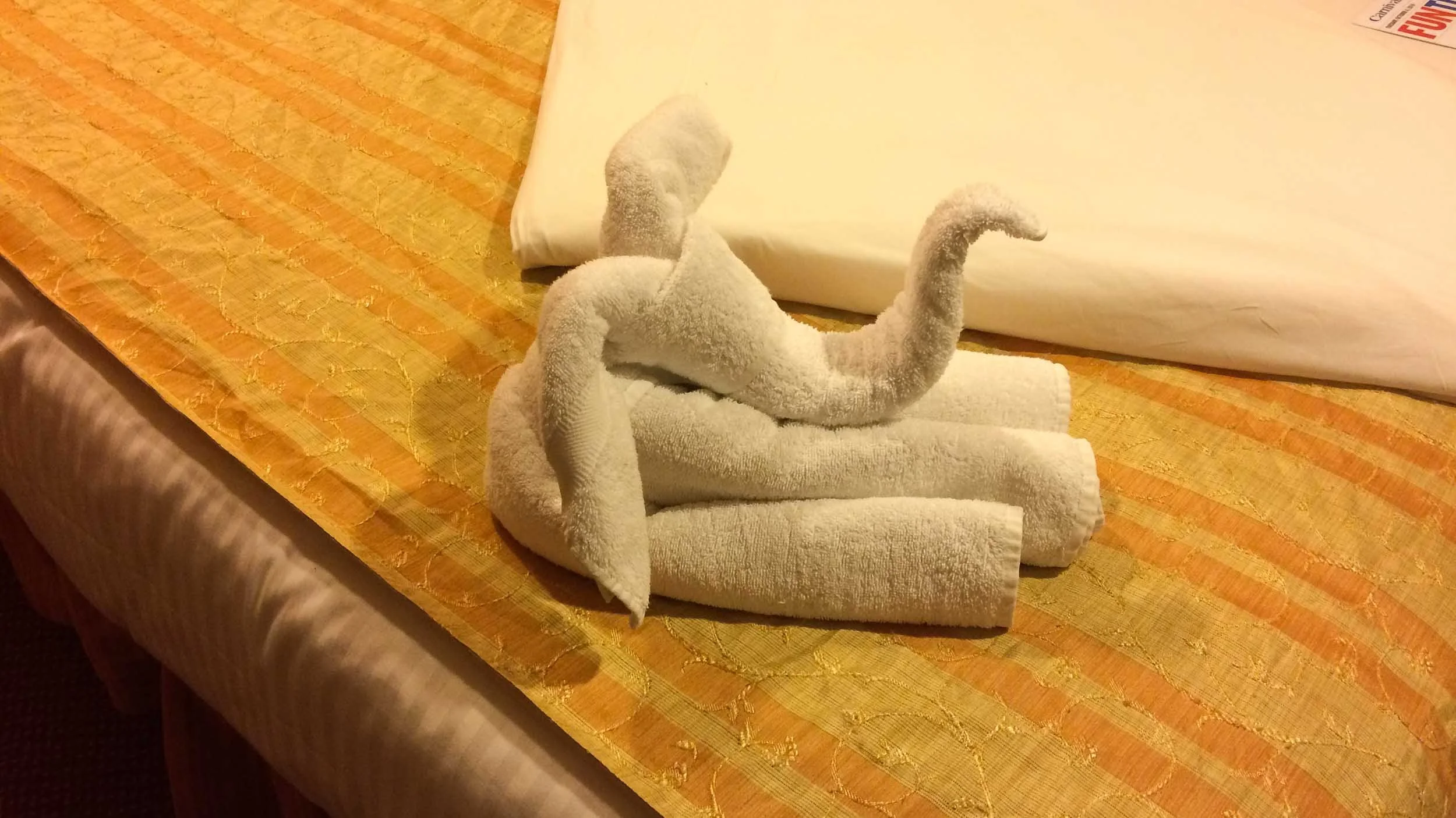 Towel art