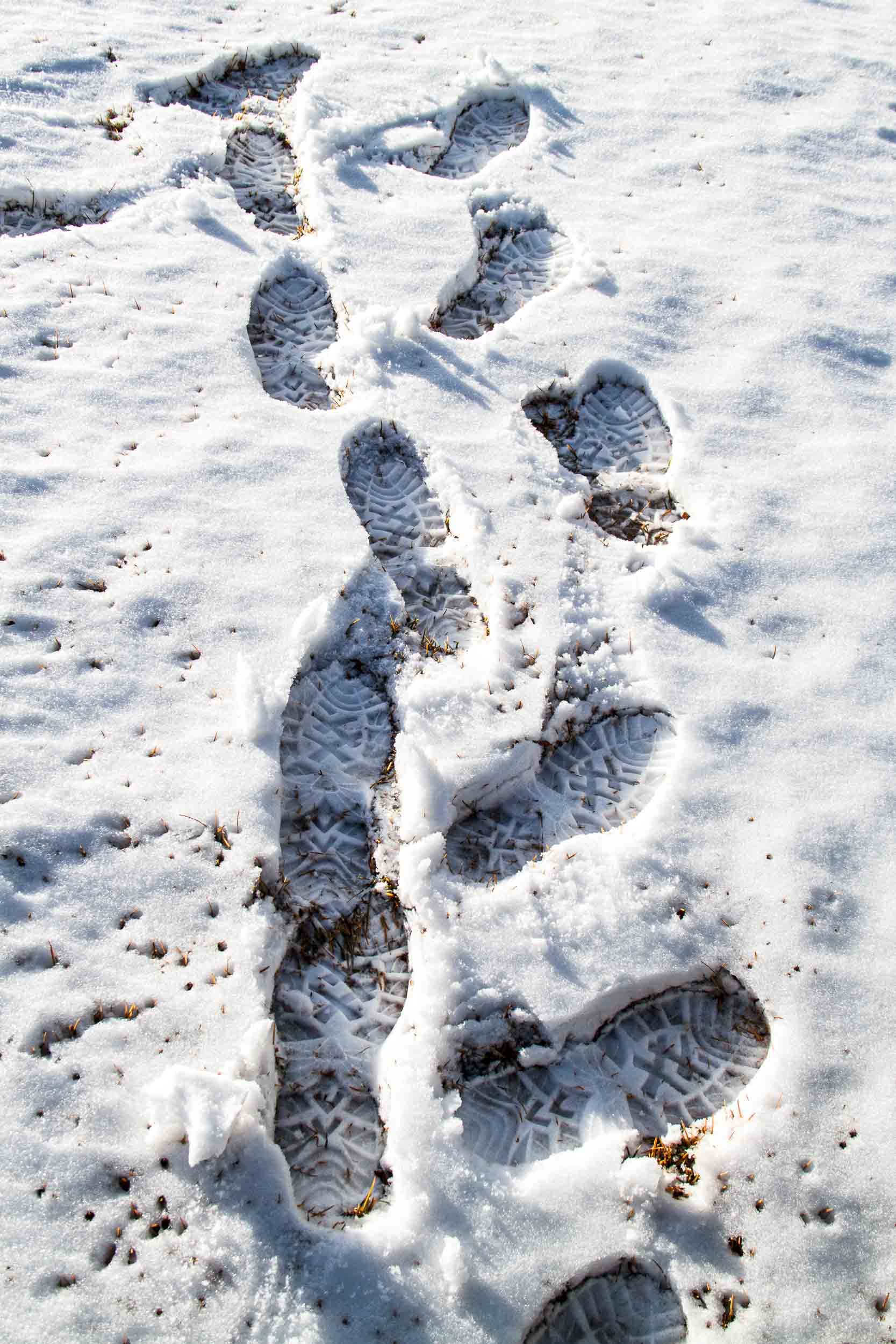 January 14, 2014 - Helena, Montana - Your's truly.