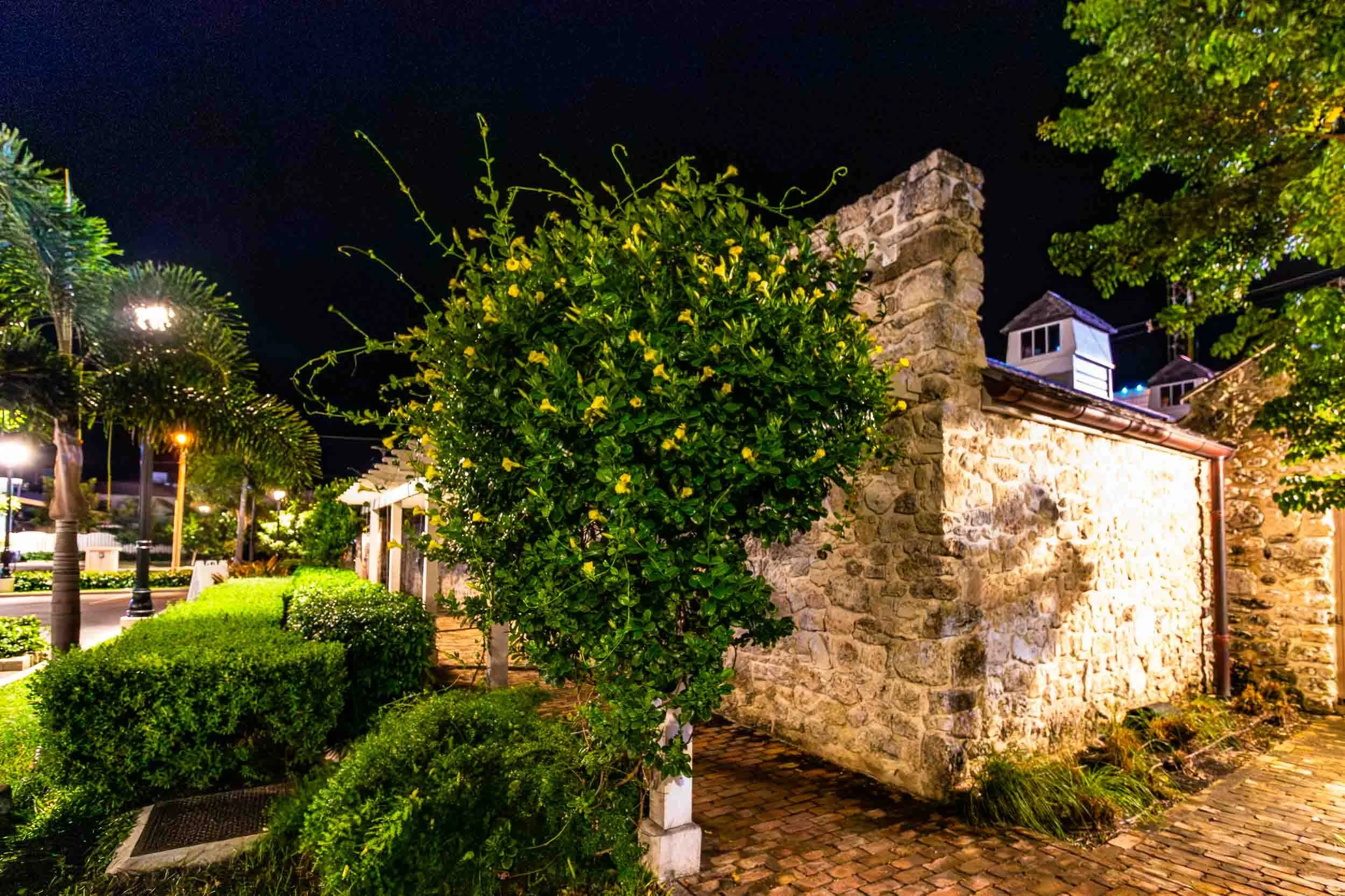 201811061603-IMG_6300-Bridgetown-The City at Night.jpg