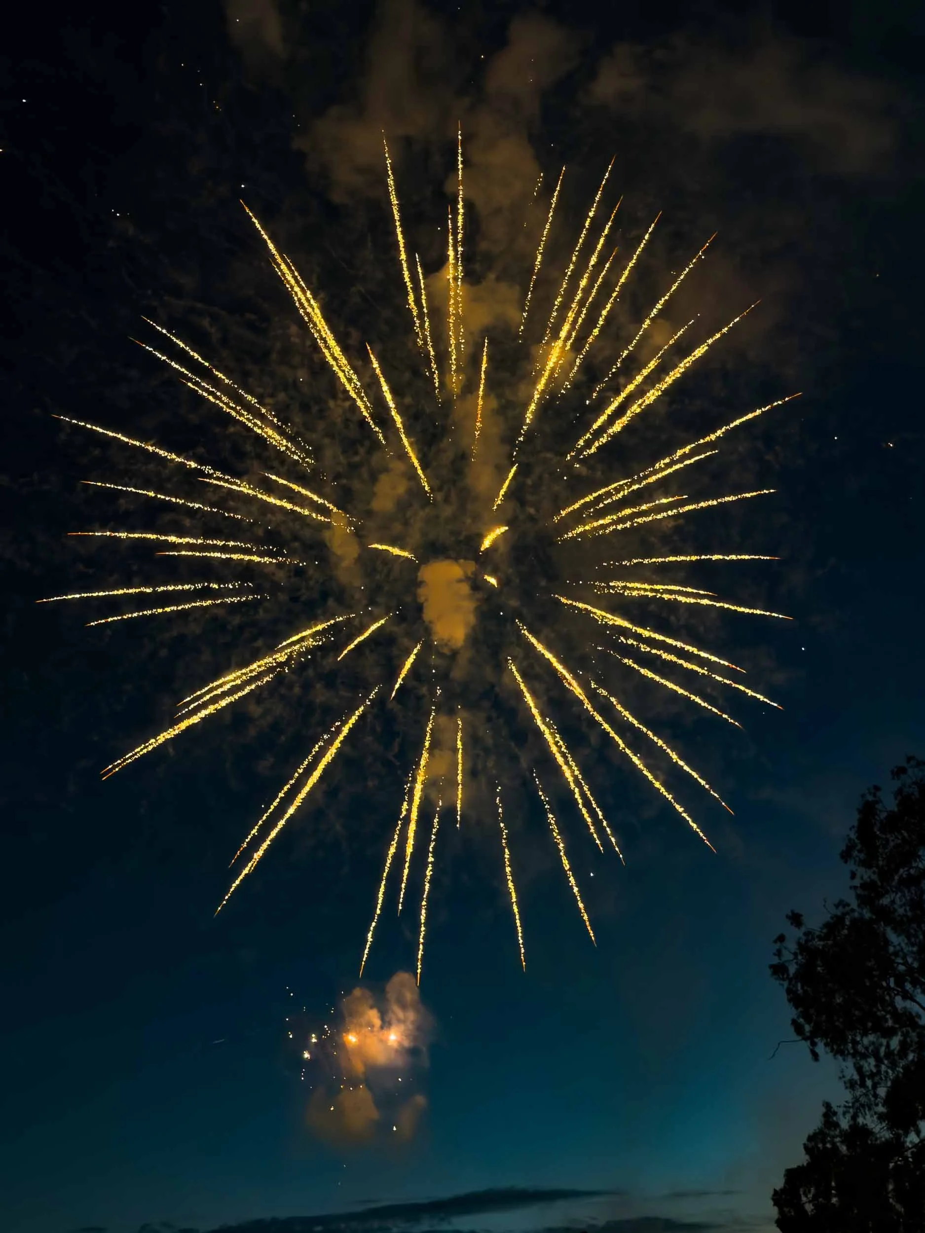 202607042046-IMG_2284-Santa Ana-Centennial Park Fireworks.jpg